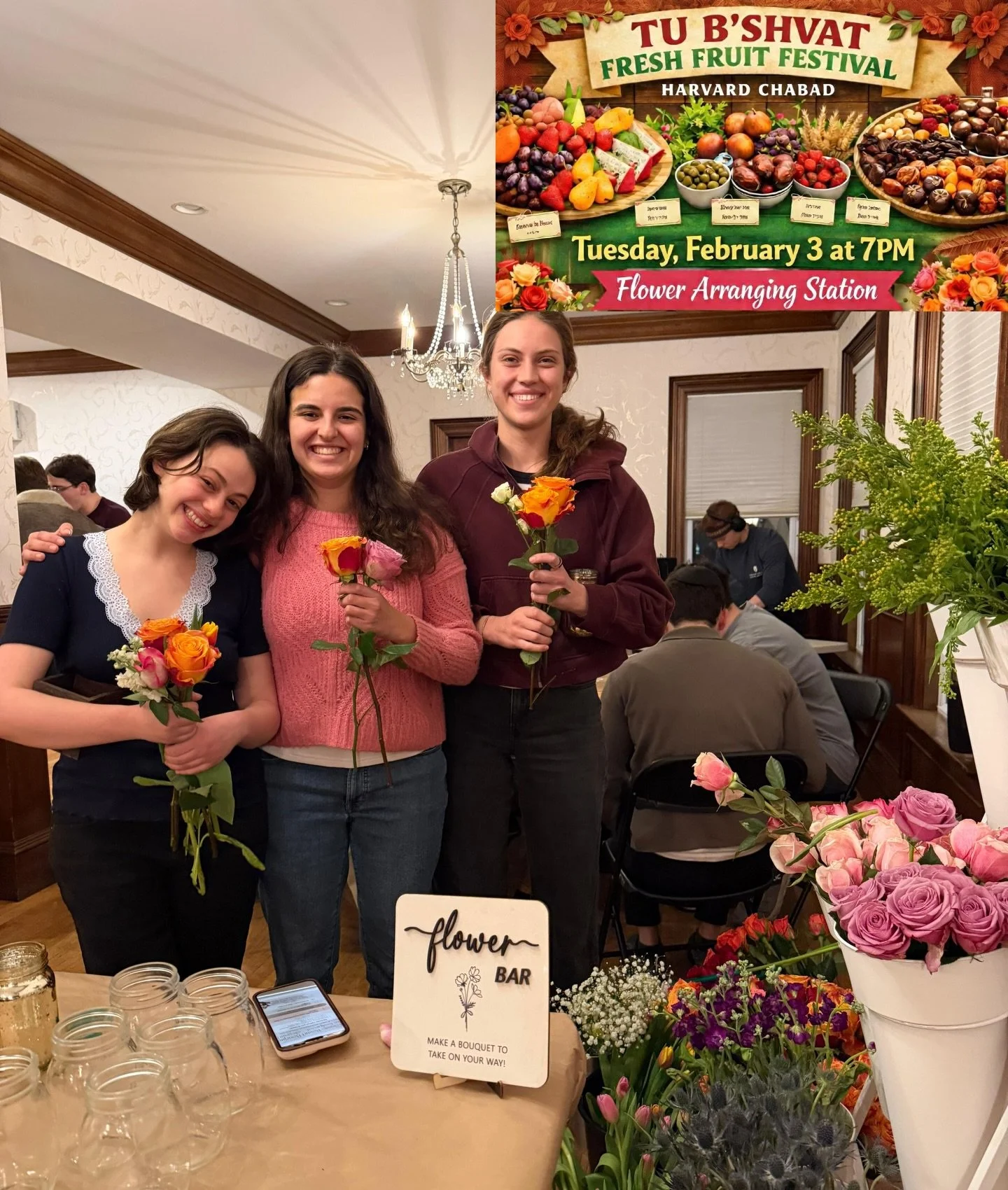 Happy Birthday to the trees (and Adina)! -Harvard College 🌳