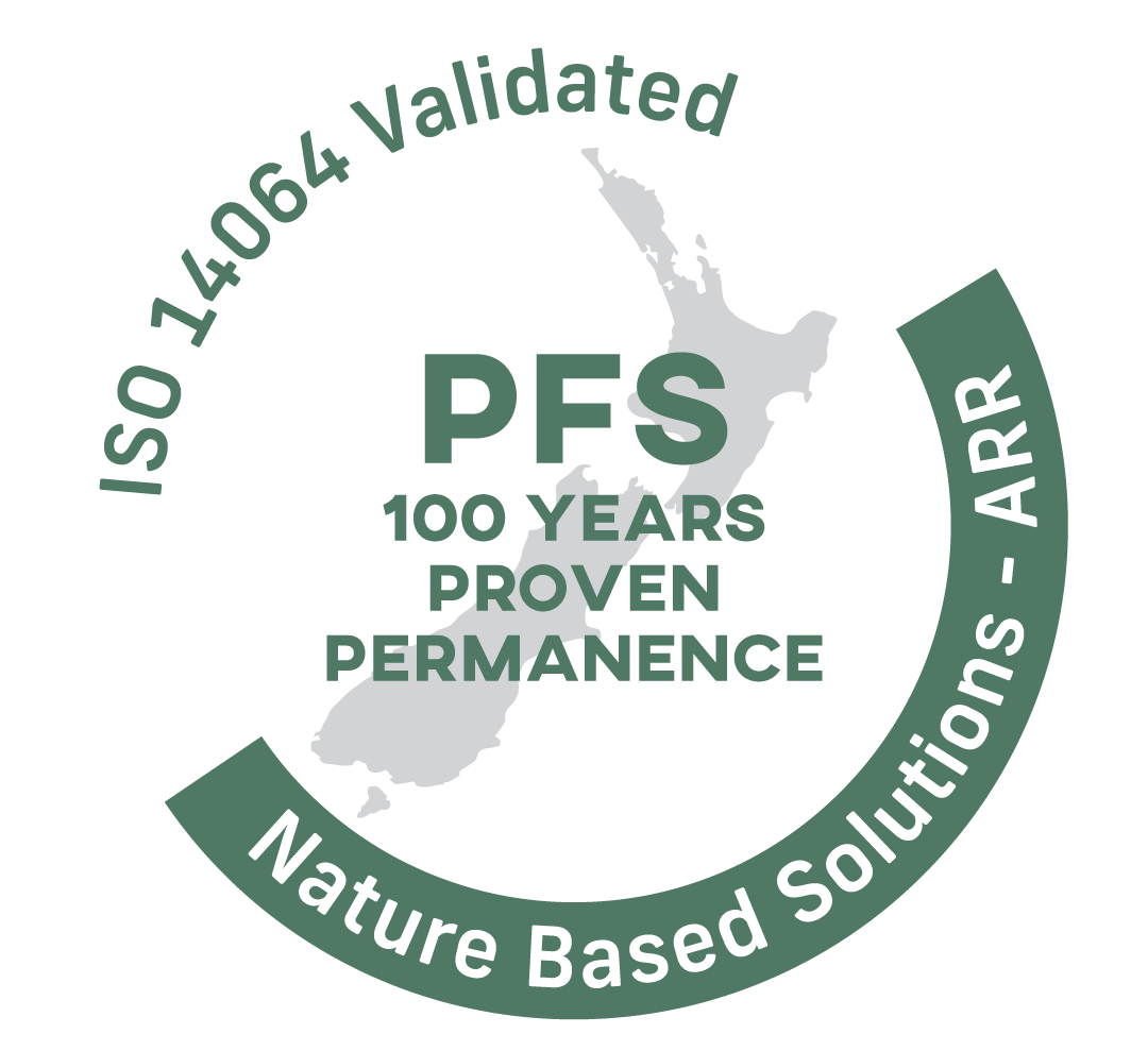 PFS Carbon Standard