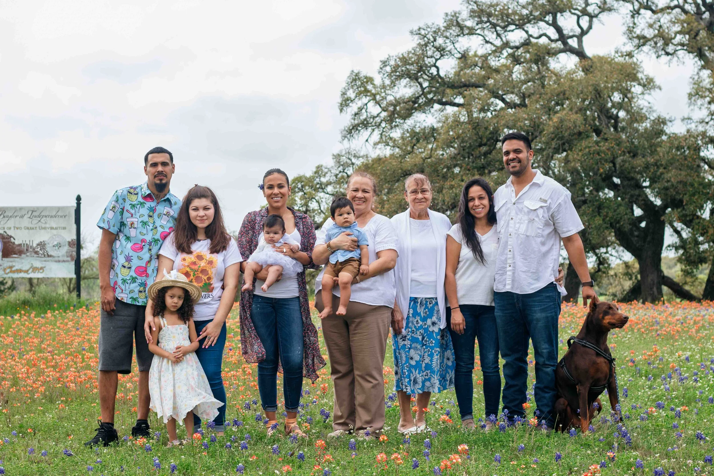 Outdoor family group portrait in a Texas bluebonnet field by Lev’s Photography featuring a family posing together among wildflowers with a large tree in the background