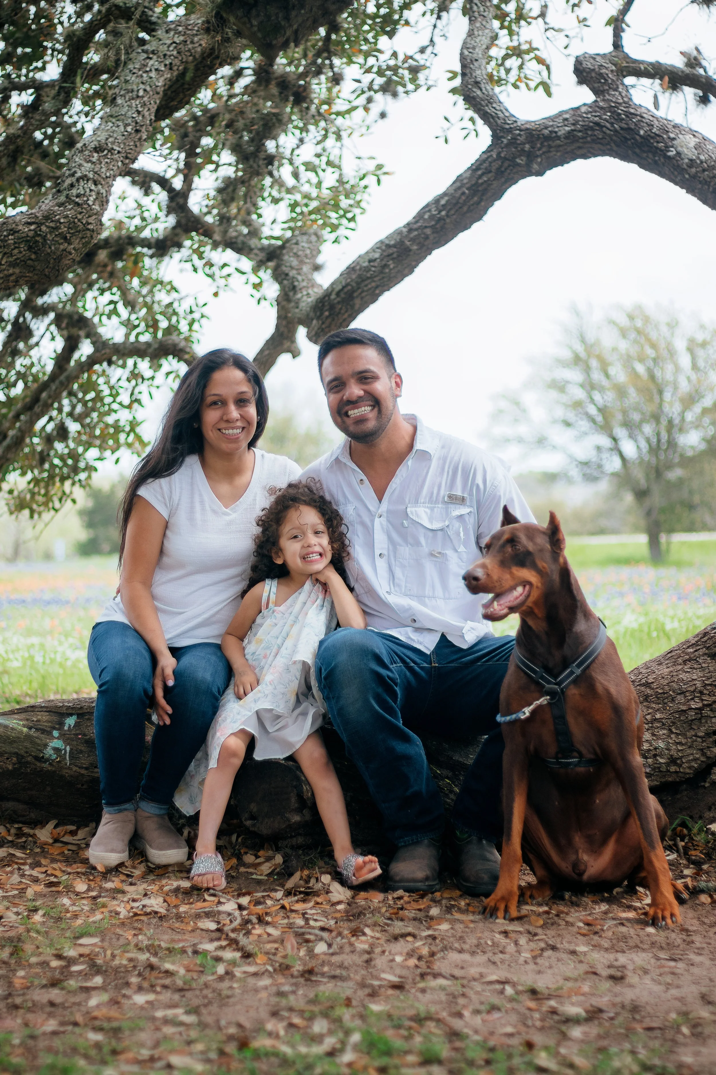 A smiling family of four, including a woman, man, young girl, and a dog, sitting on a fallen tree trunk outdoors under a large tree with spreading branches, on a grassy field with trees in the background.