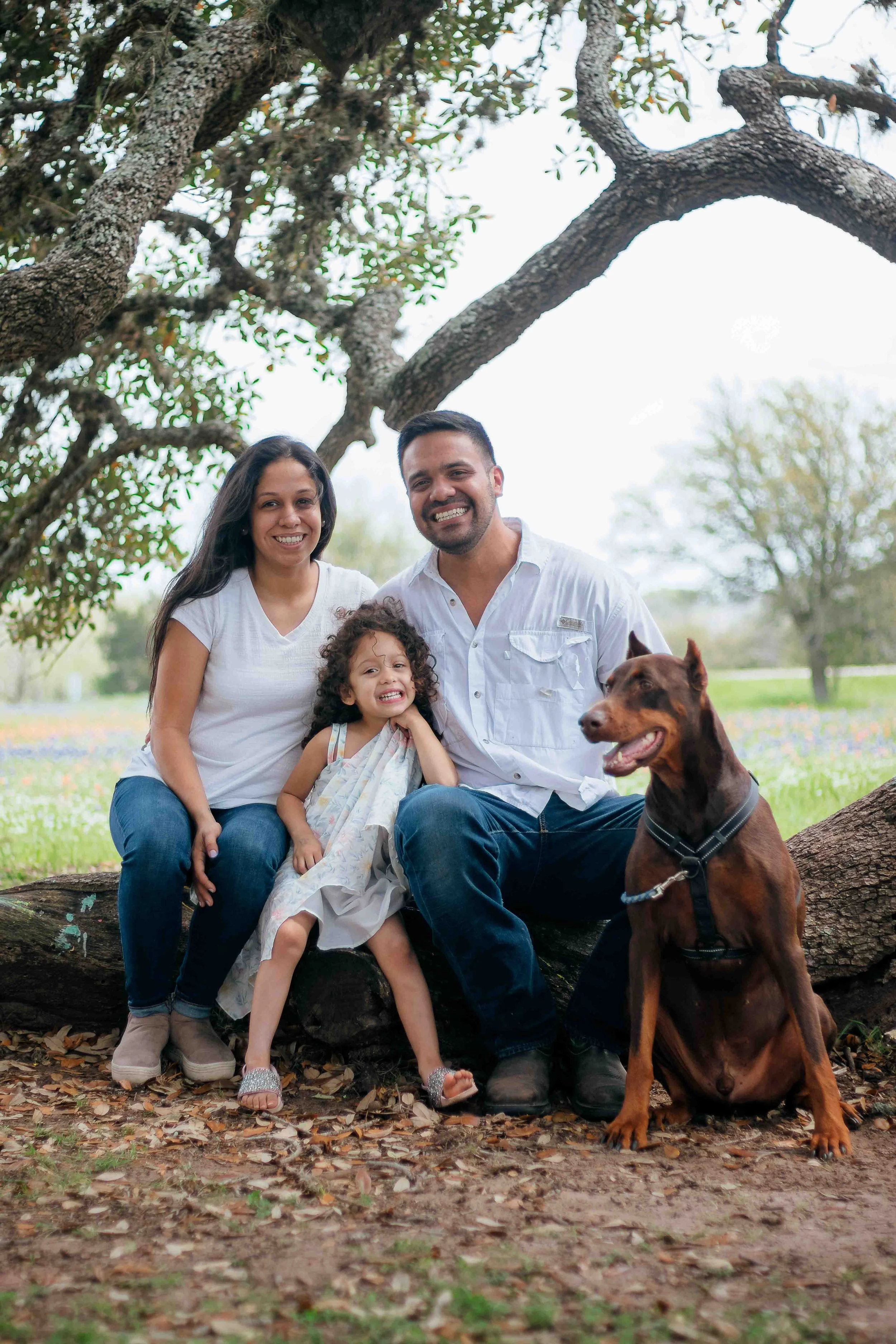 Spring family portrait in Texas by Lev’s Photography featuring a happy family of three with their dog sitting on a fallen tree under a large tree surrounded by bluebonnets in a park