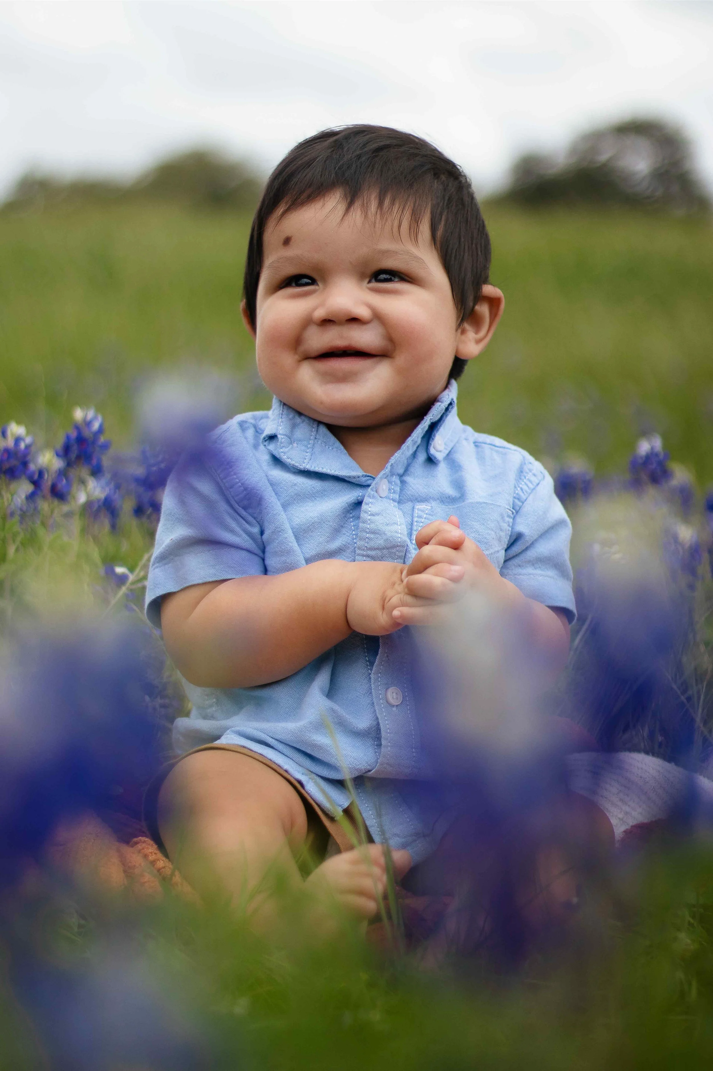 Bluebonnet season portrait in Fredericksburg, Texas by Lev’s Photography featuring a smiling young boy in a blue shirt sitting in a field of vibrant blue flowers