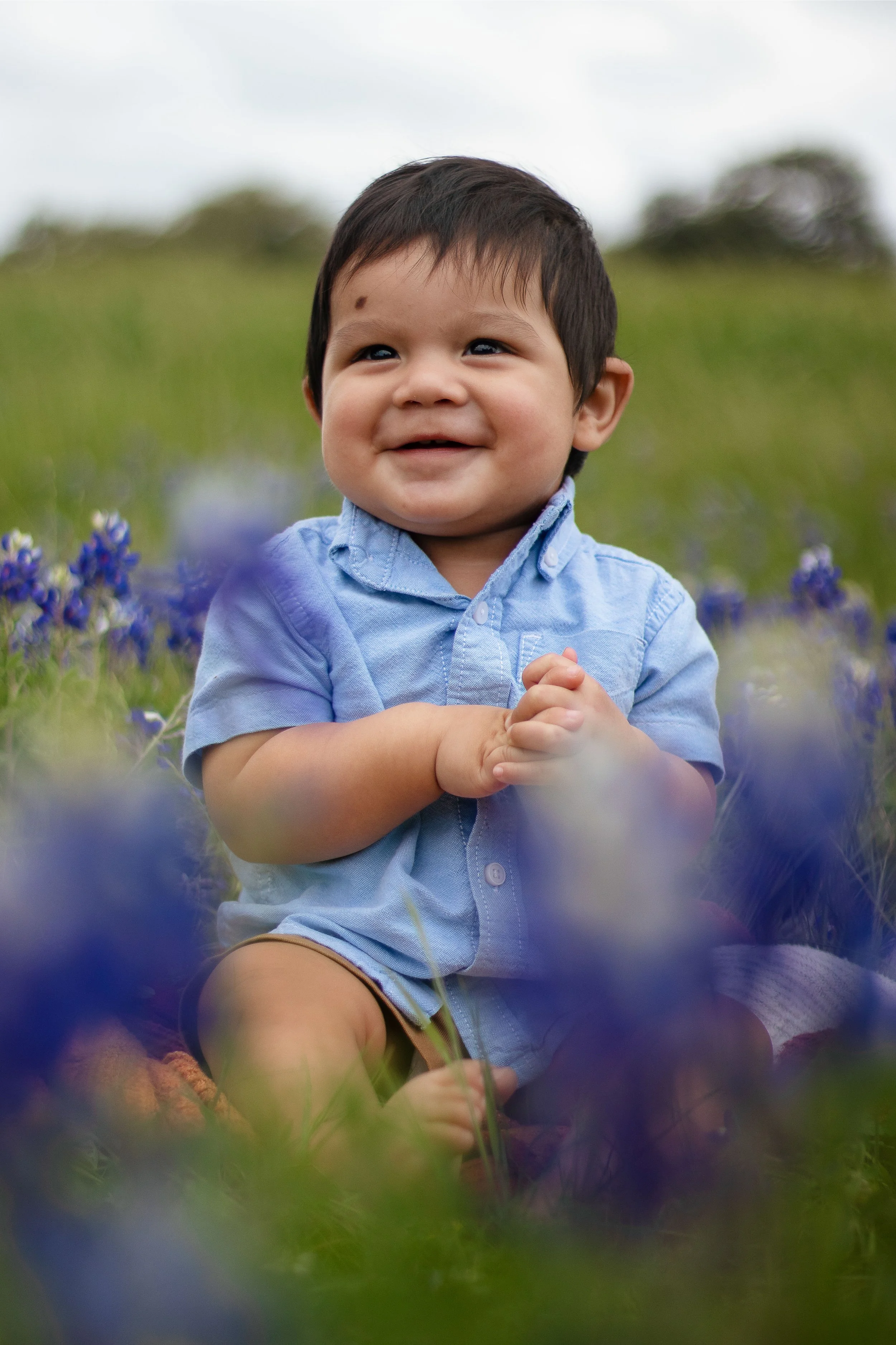 Young smiling boy with dark hair in a light blue shirt sitting among purple flowers outdoors on a cloudy day.