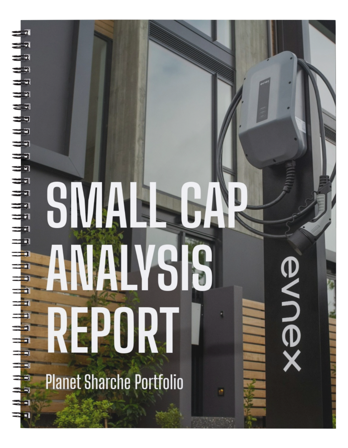 Small Cap Analysis Report