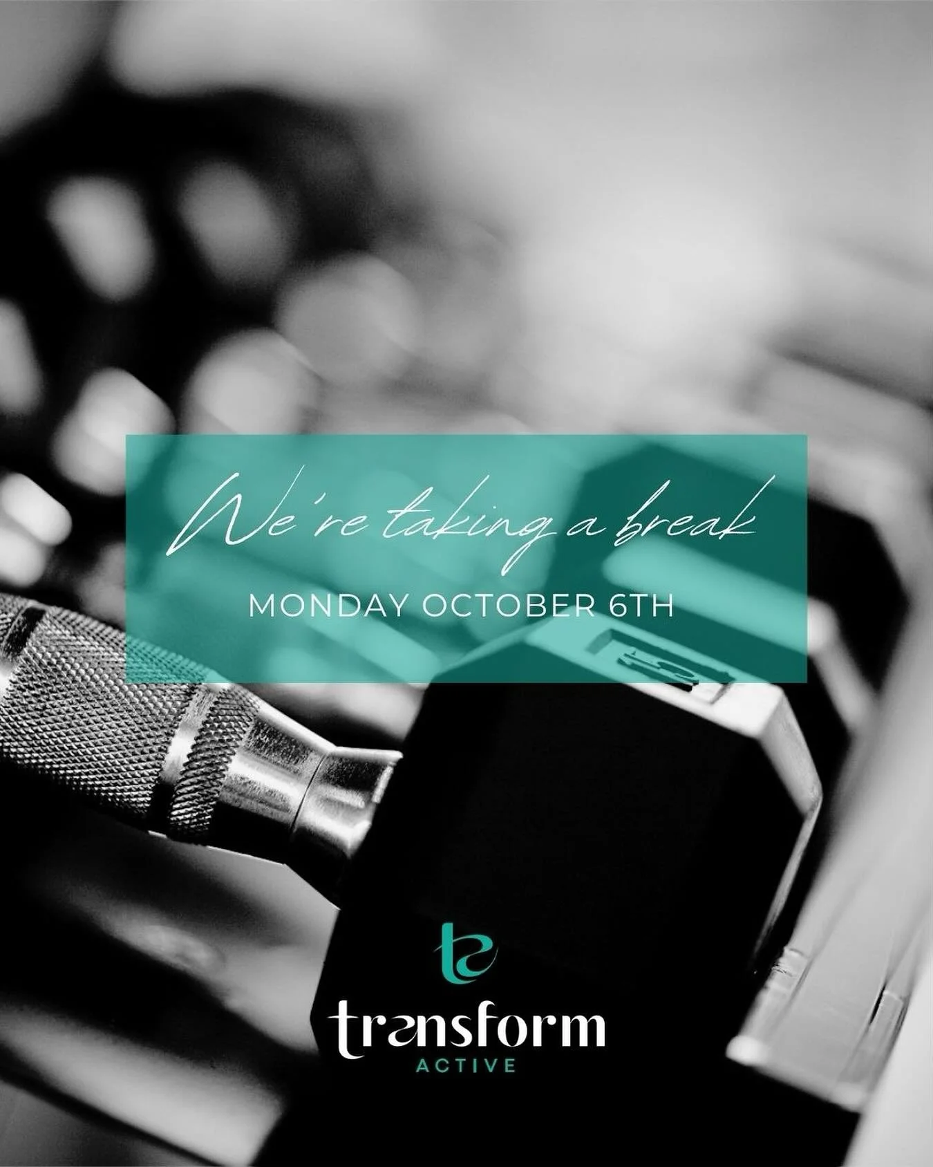 Heads up, TA fam! 👋

On Monday Oct 6th (Public Holiday), our reception crew and classes are taking a little break.

Gym floor is still all yours though &mdash; 24/7 as always! Those weights won&rsquo;t lift themselves 😉💪