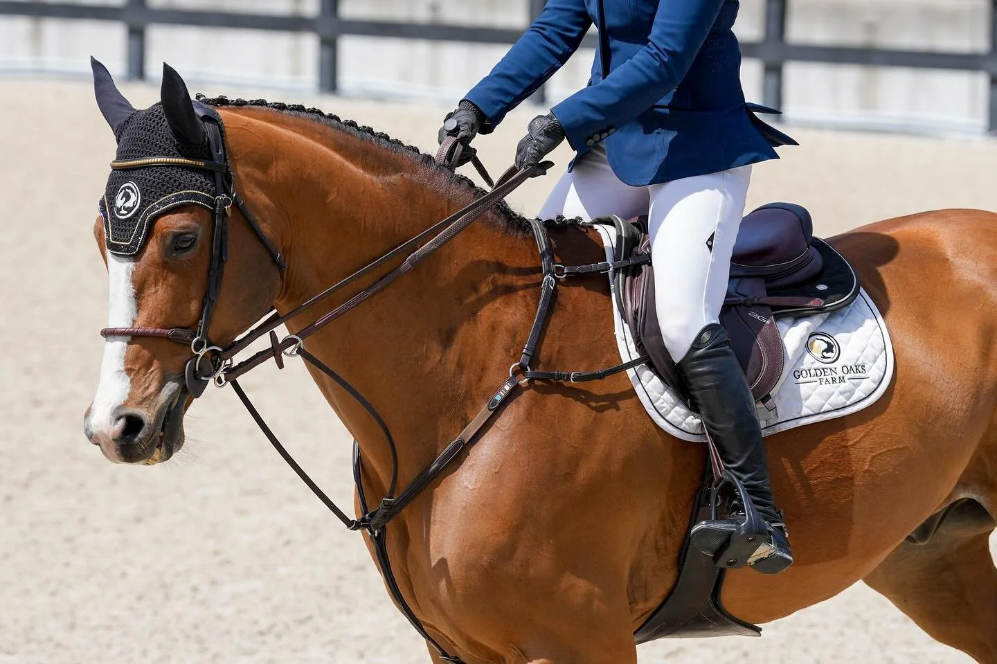 ~Offering Social Media Management~ 

What are the benefits of social media management? 

✨ Elevate brand presence 
✨ Increase brand awareness 
✨ Strategic content 
✨&amp; more 

Perfect for barns, athletes, and brands! 

Consistent social media is vi