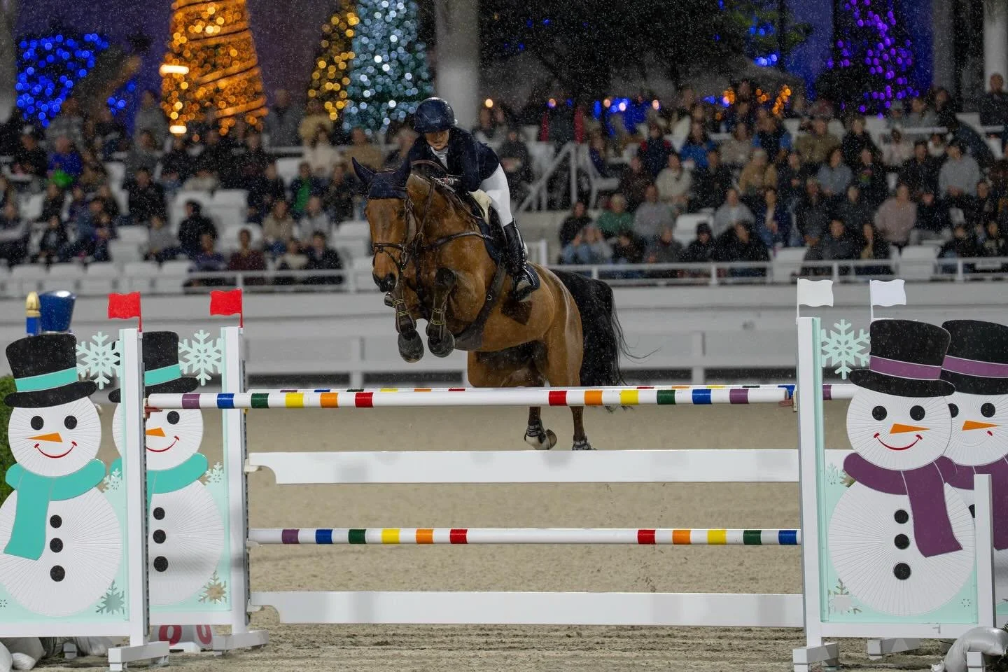 Merry Christmas ☃️ 

I hope everyone has a lovely day and a happy New Year! 

Shot for Free Ride Equestrian