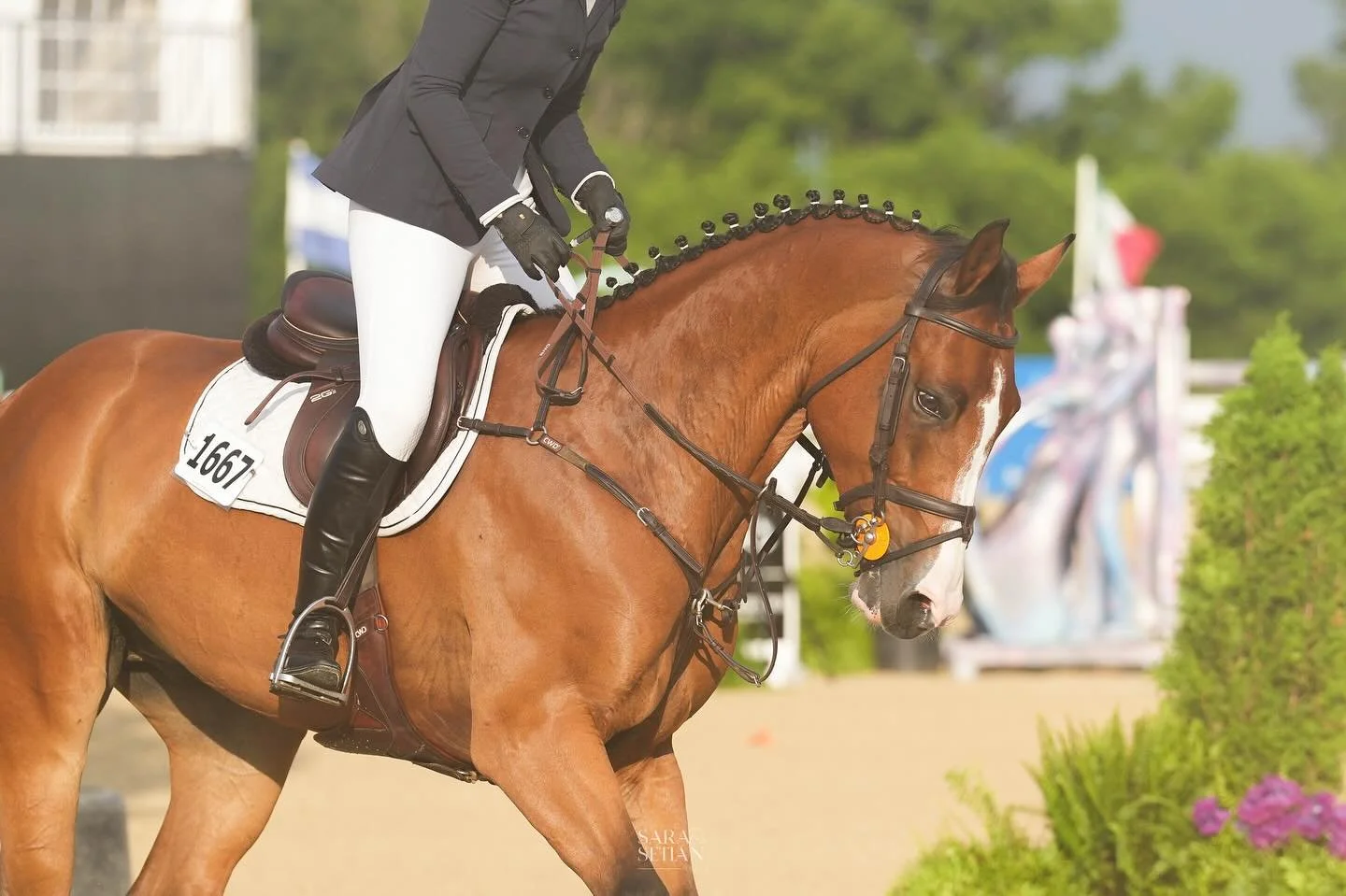 Golden hour in Kentucky ☀️🤍