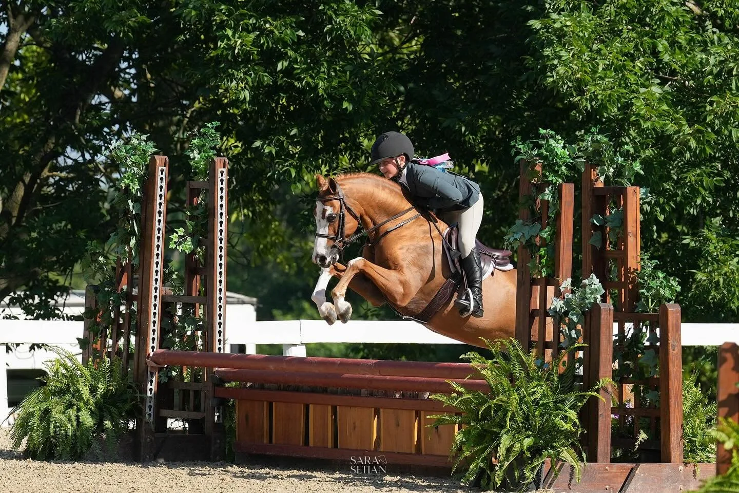 Jumping into Pony Finals 🎠 

Wishing the best of luck to two of my favorites (Lucy &amp; Annabelle) this week!