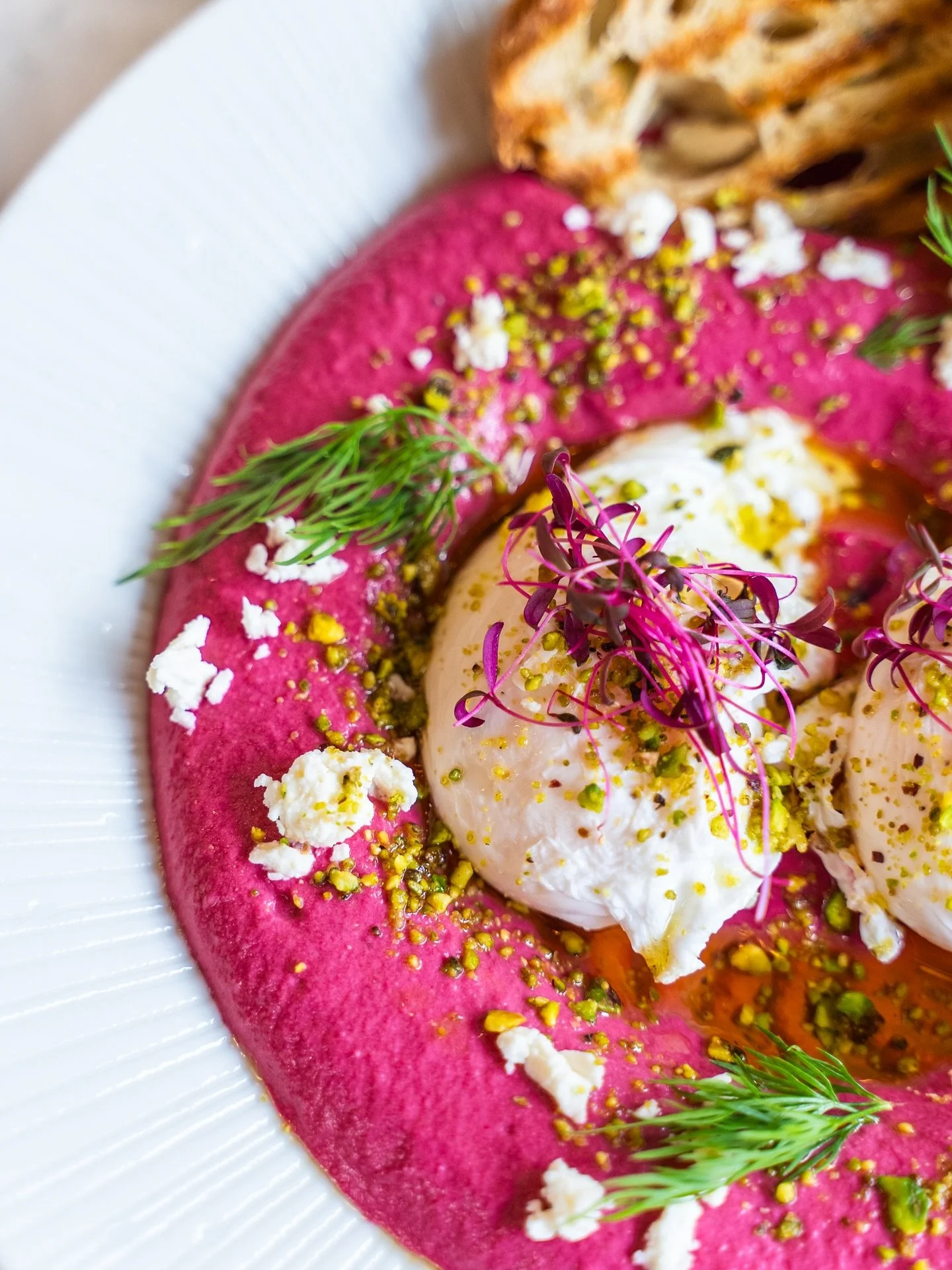 BEETS N&rsquo; EGGS 🫜🍳 

Let the countdown begin until you can have this crave-worthy dish again. 😉

T-minus 9 days. ⏰

Loam you later.