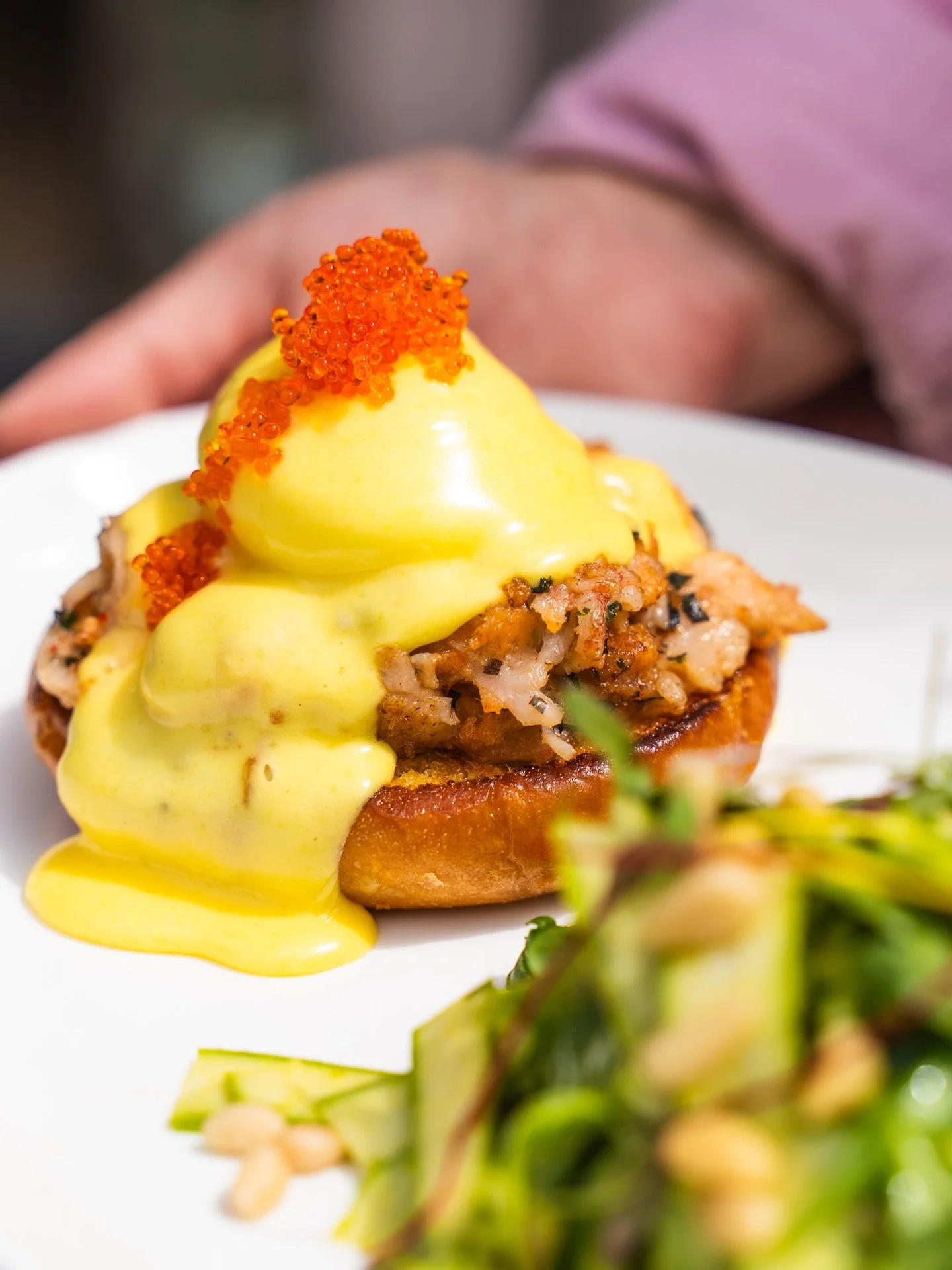 🦞 LOBSTER EGGS BENNY 🦞 

Should we keep it on our menu for good? Vote below 👇