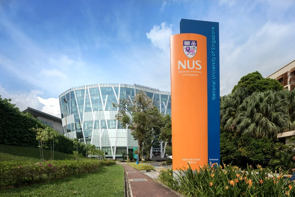 SLEI x NUS: ESG IMMERSION: CARBON MARKETS AND SUSTAINABLE FINANCE