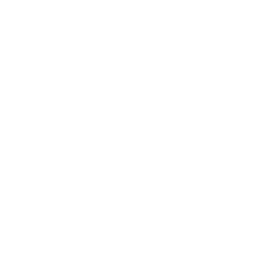 Silver Lion Enterprise Impact