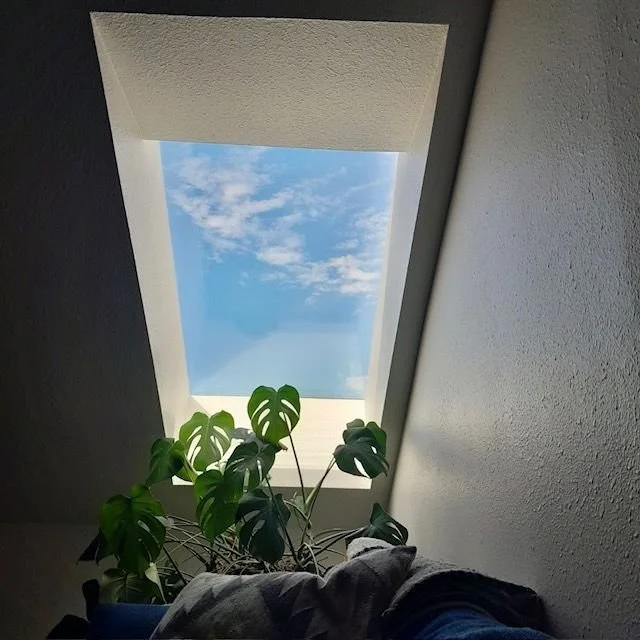 Somatic therapy, Madison Valley Seattle
