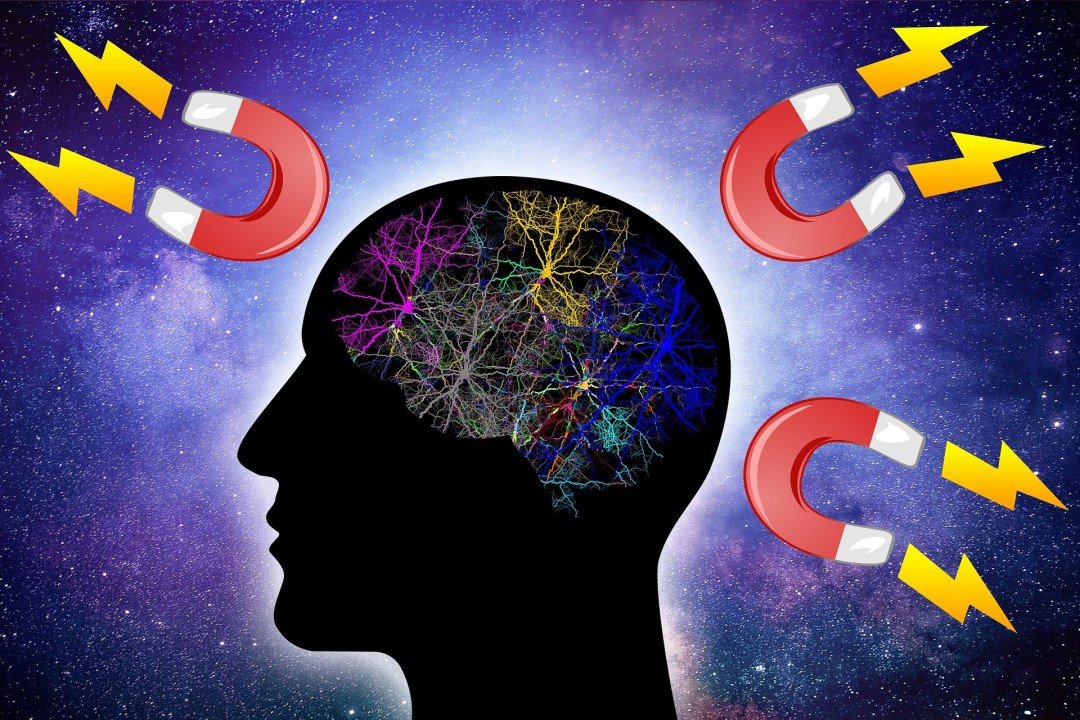 Blog Post #12: The Law of Attraction: How Our Brains Turn Thoughts into Reality
