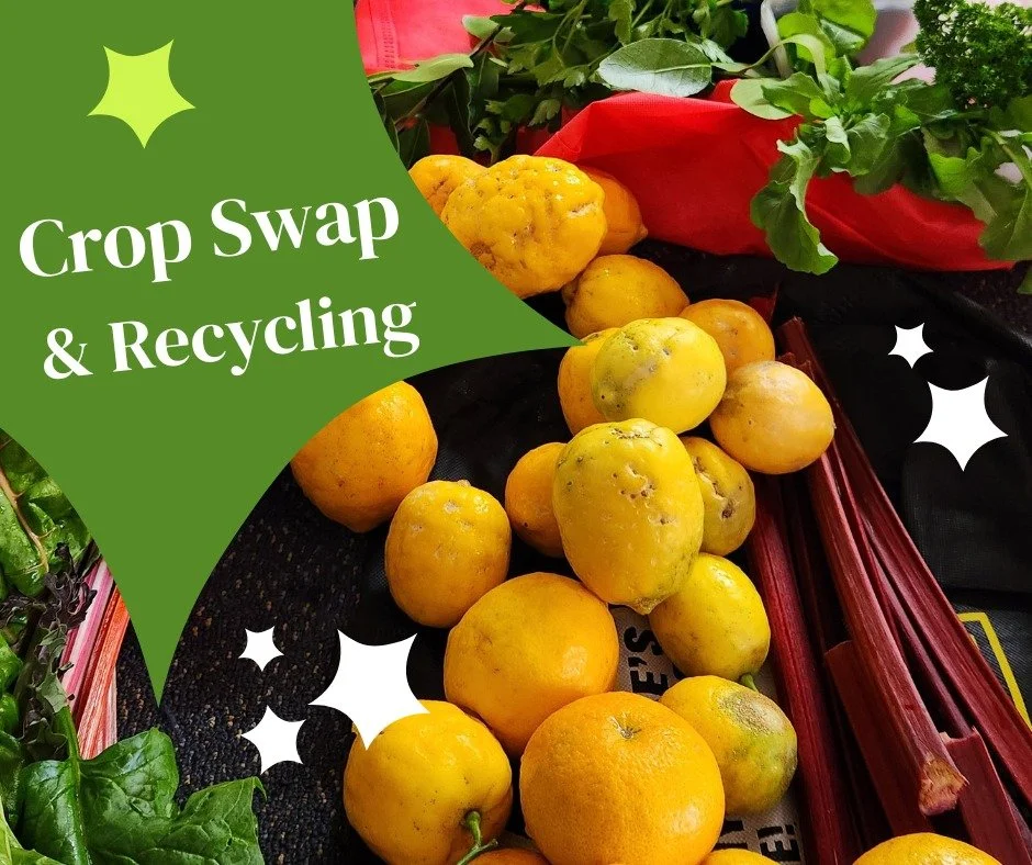 Pukerua Bay Crop Swap – Pop-up Edition