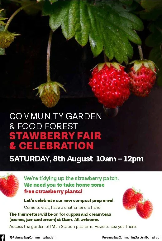 Strawberry Fair