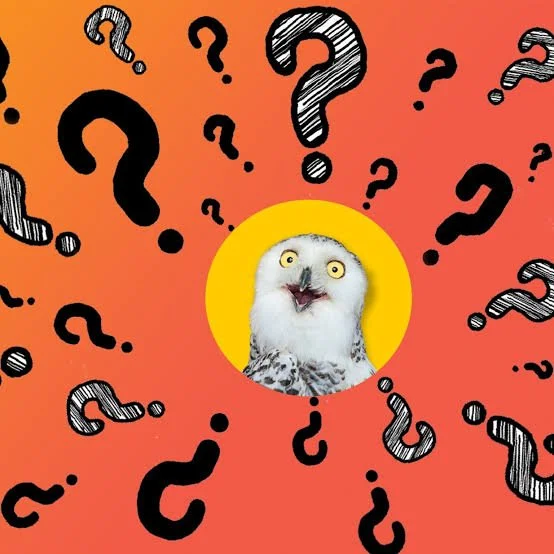 RSA Quiz