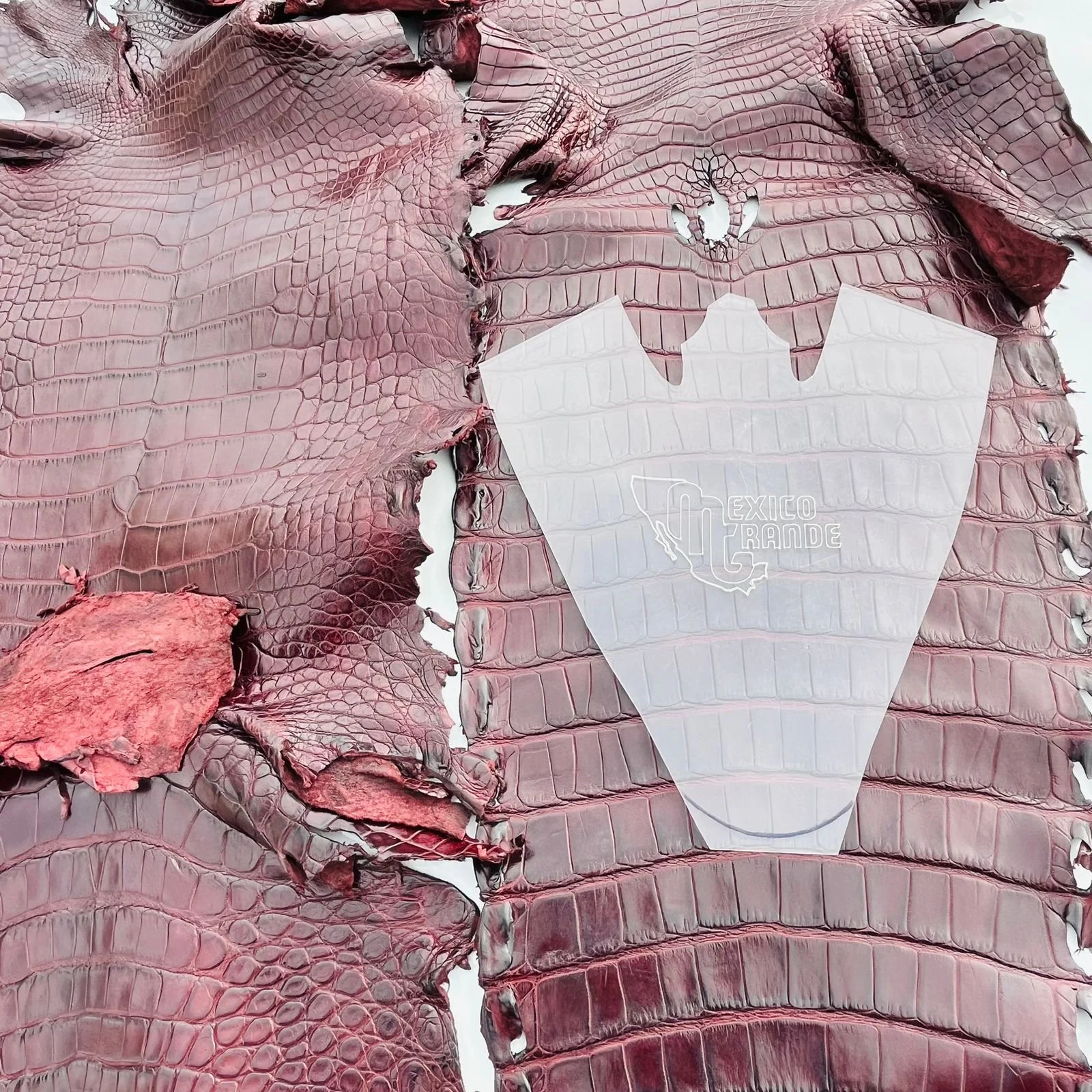 WhatsApp Image 2024-07-20 at 8.59.22 AM.jpeg