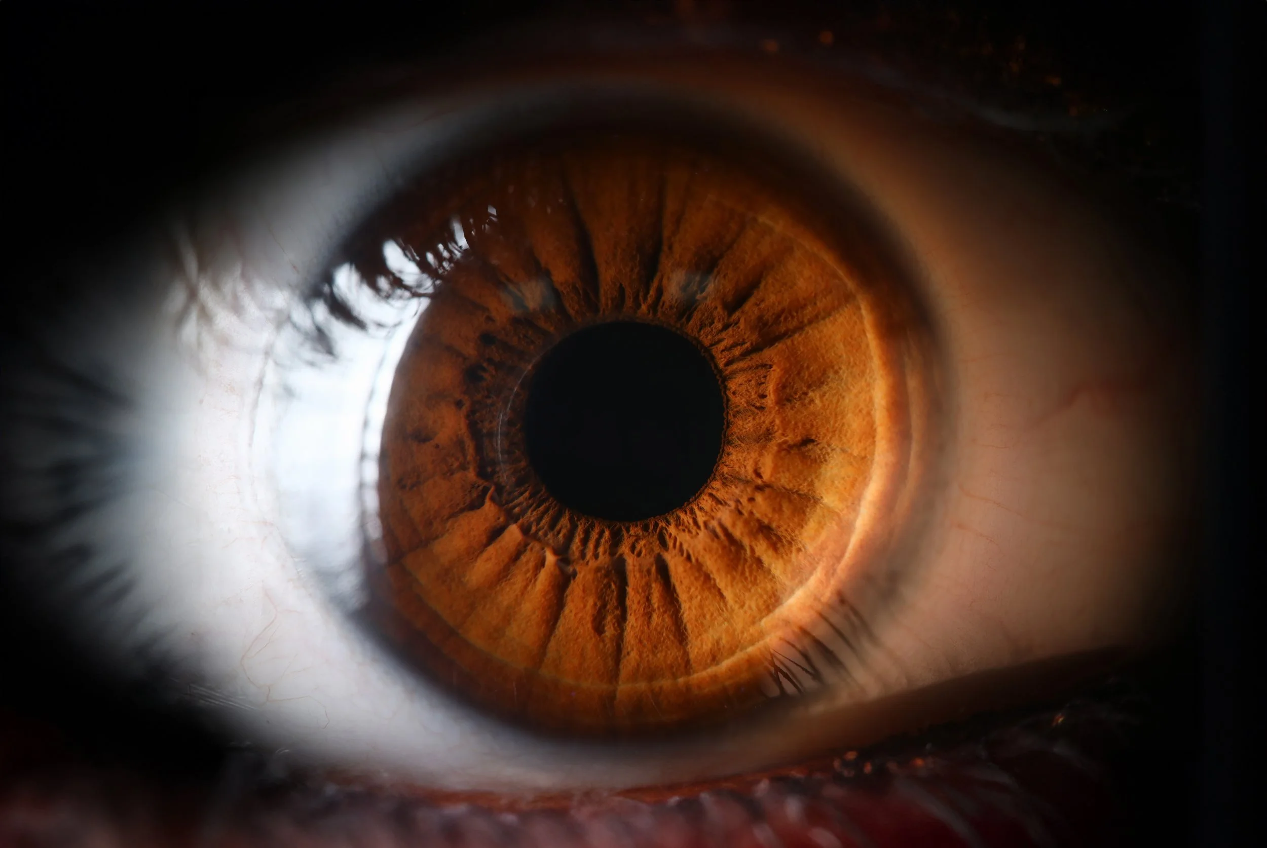 Le LASIK et le PRK sont-ils sécuritaires?