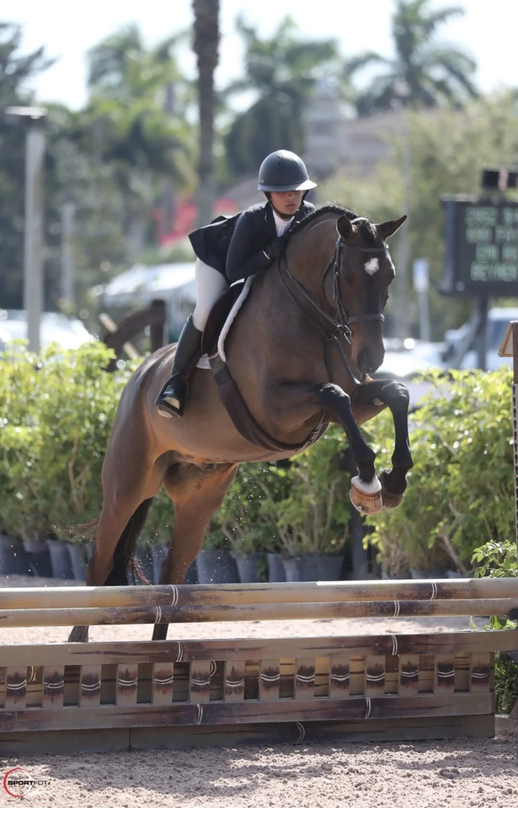 Photo Jun 18 2024, 3 53 21 PM (3).jpg