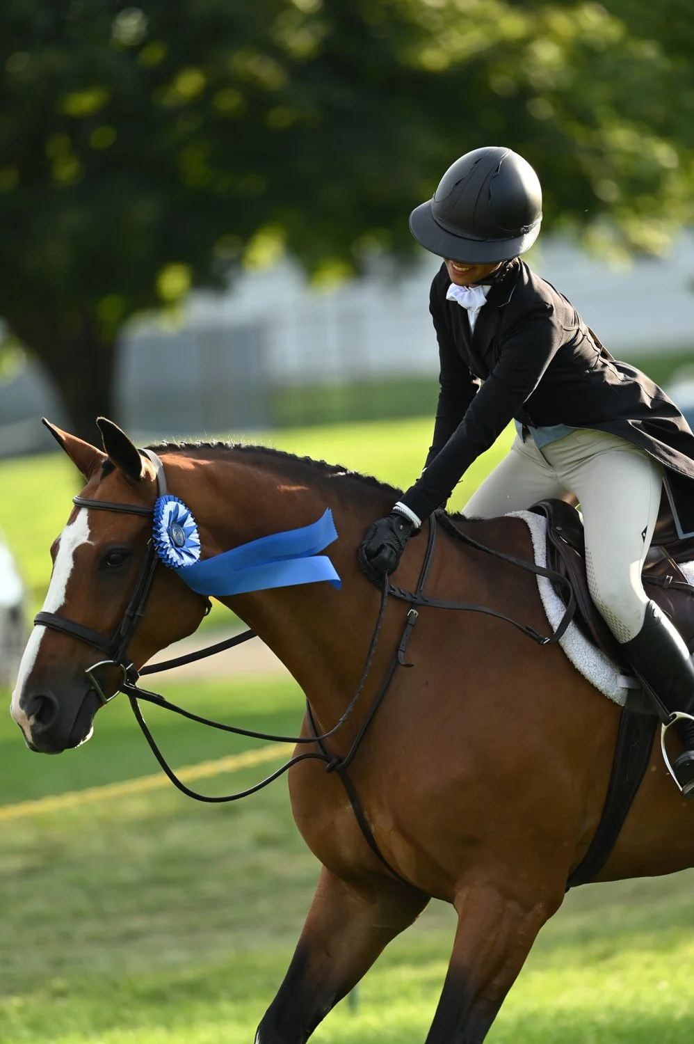 Photo Jun 18 2024, 4 02 07 PM.jpg