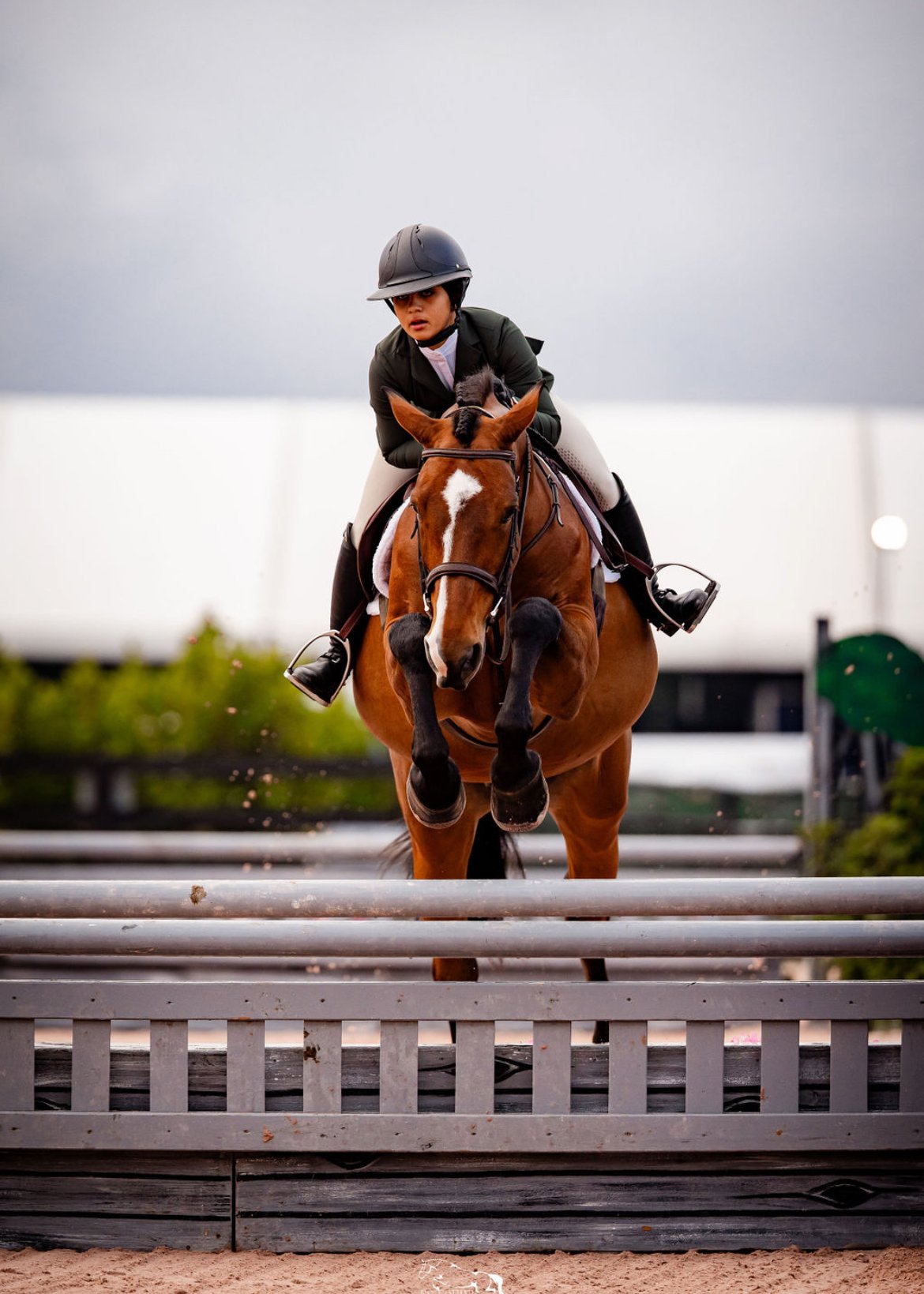 Photo Jun 18 2024, 3 53 21 PM (1).jpg