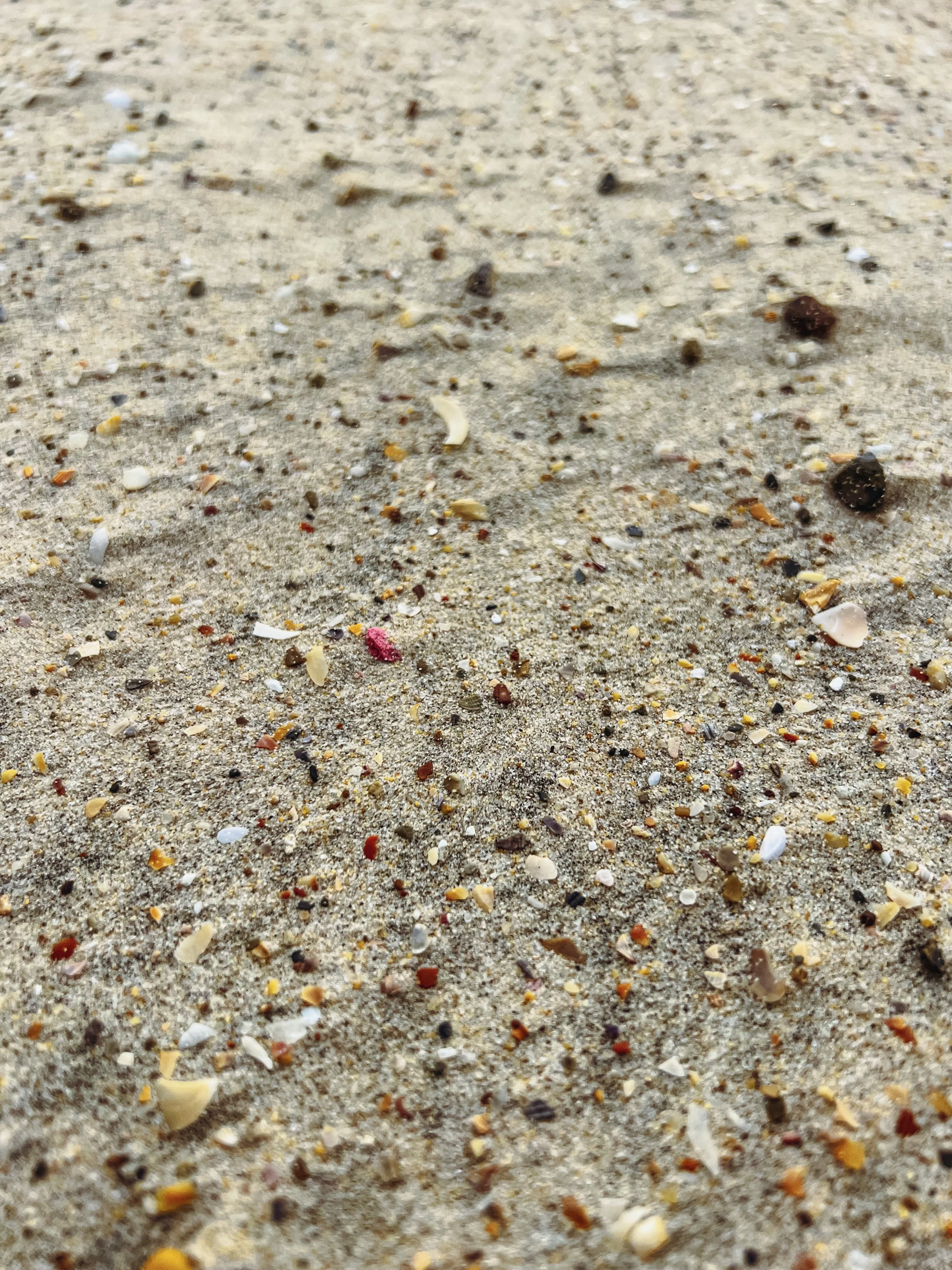 a11studio portfolio Nature