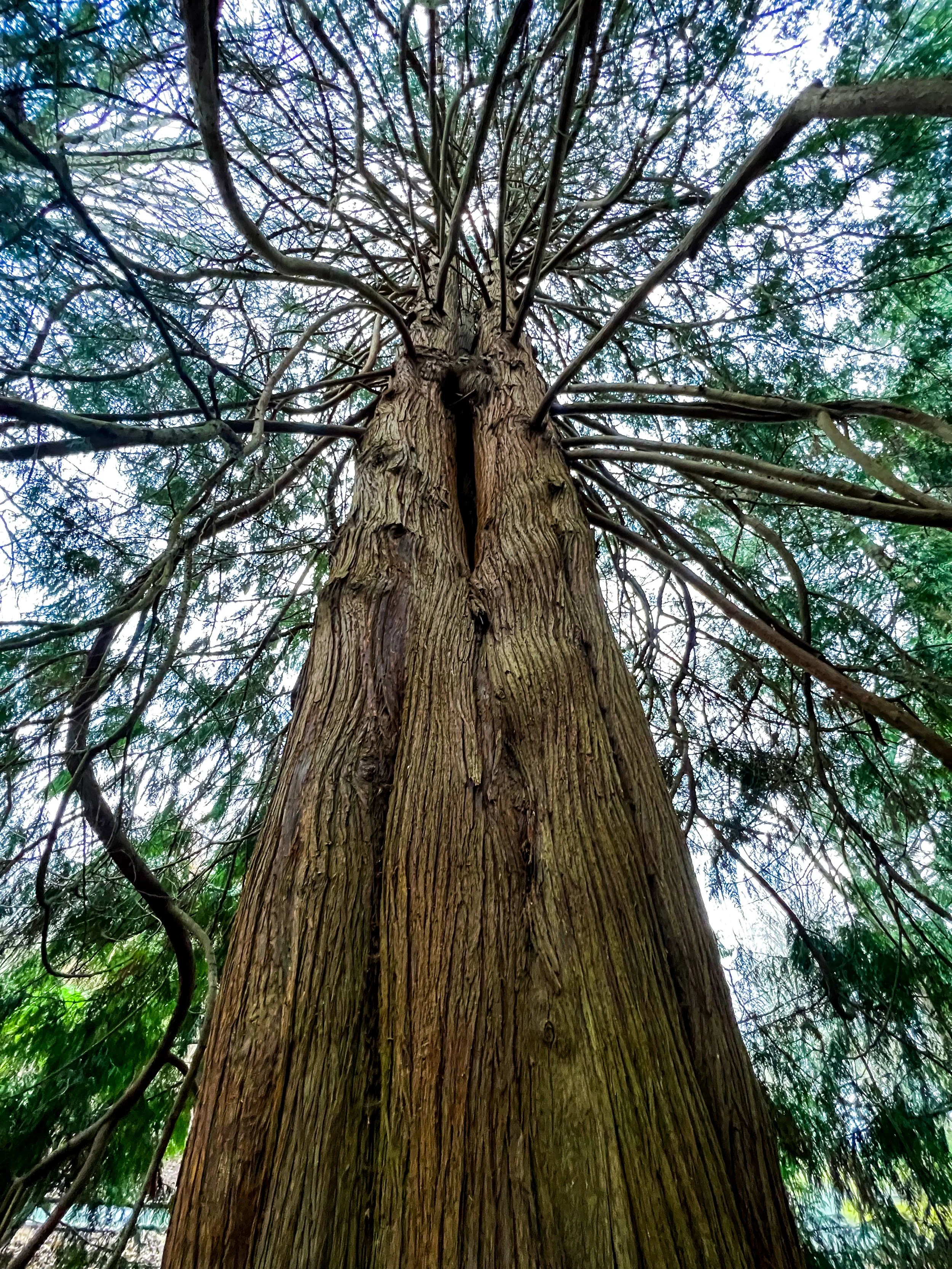 a11studio portfolio Nature