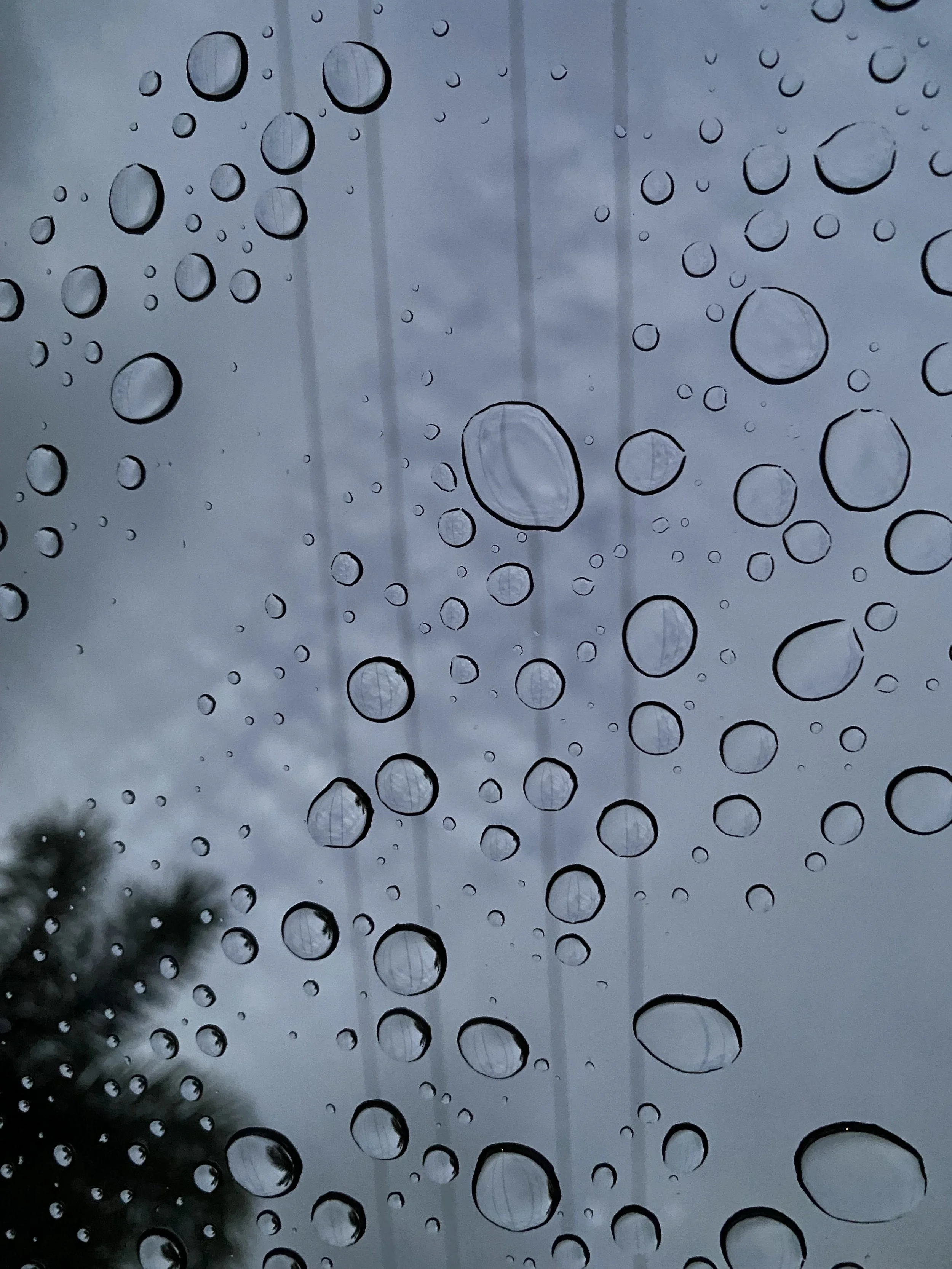 a11studio portfolio Nature