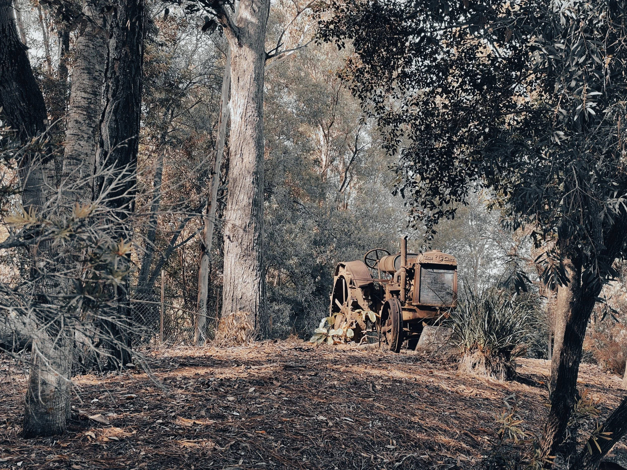 a11studio portfolio Nature