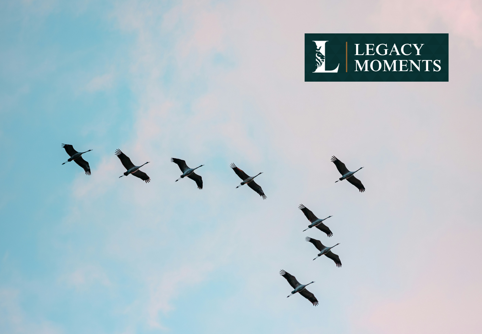 Legacy Moments - Leaders build hope: birds following leader in 'v' formation