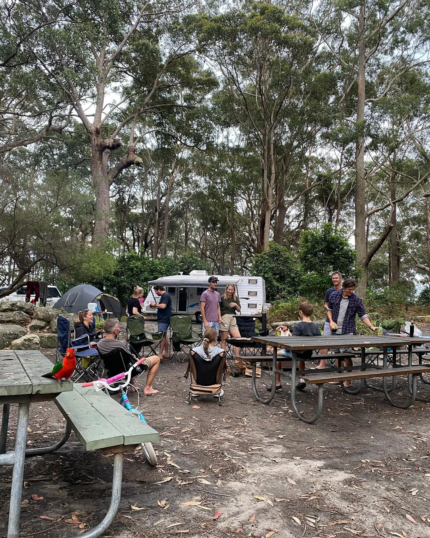 Snippets from our weekend away camping (with an essential stop in at my favourite bakery @krakensourdough on the way home). This was our last little weekender before we do our lap around Australia next year. Cannot wait!