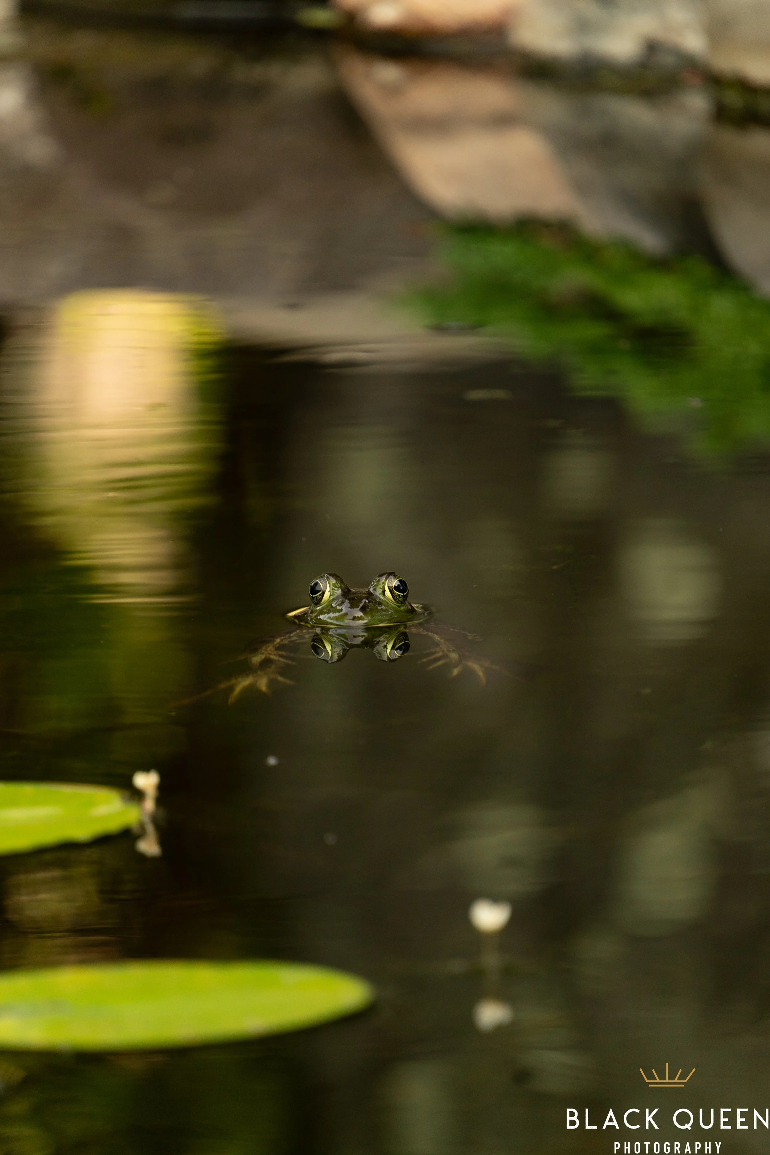 NBG_04JUL_SM-05880.jpg