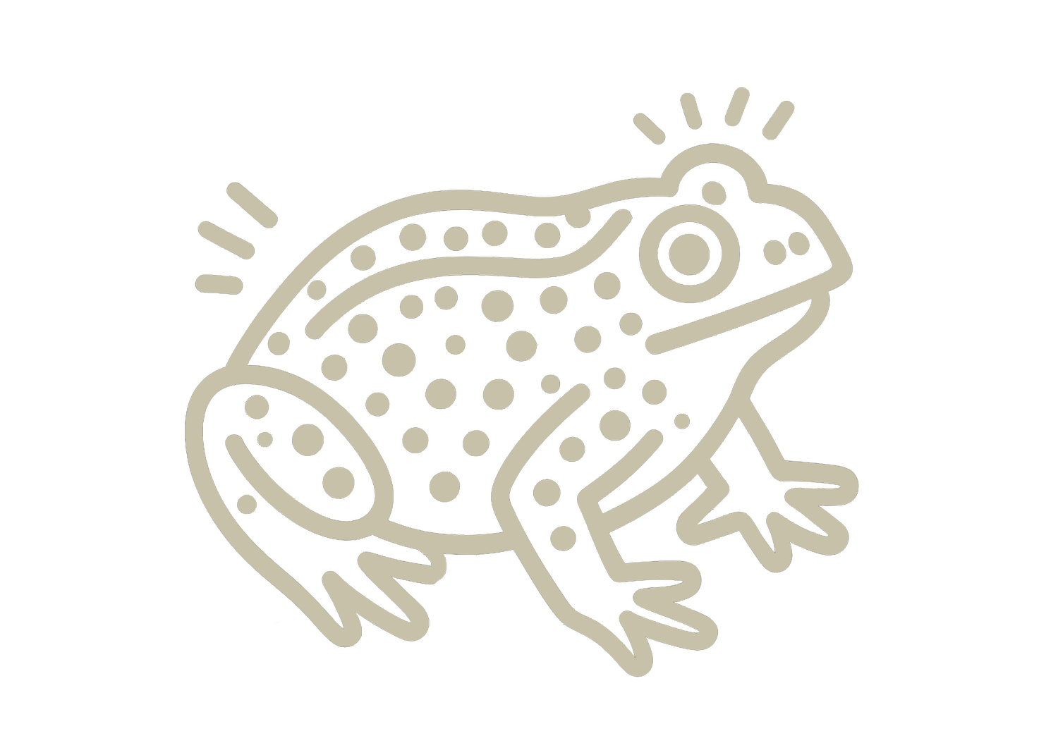 Western Toad