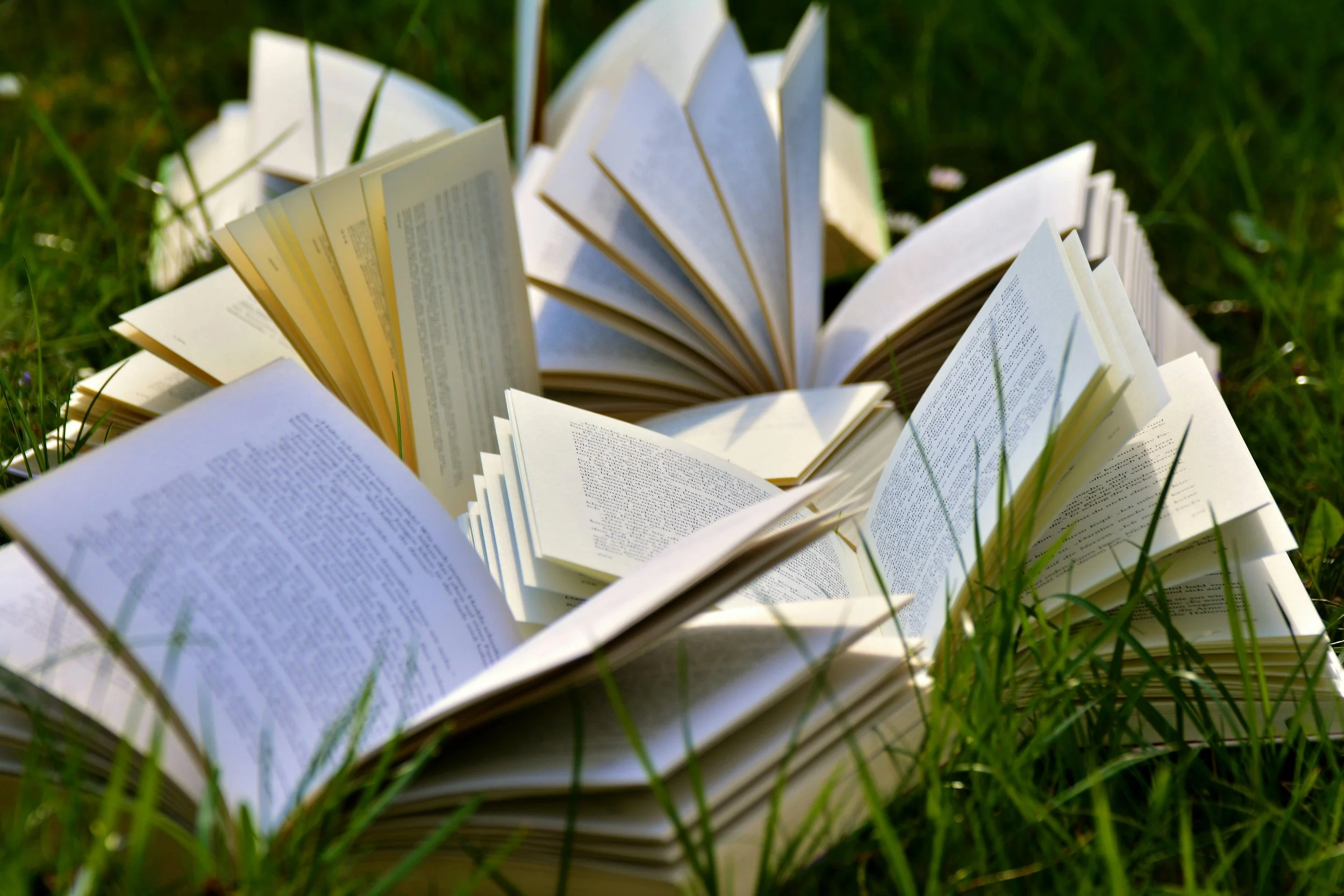Book an Adventure: The Cycle of Sharing Stories & Knowledge