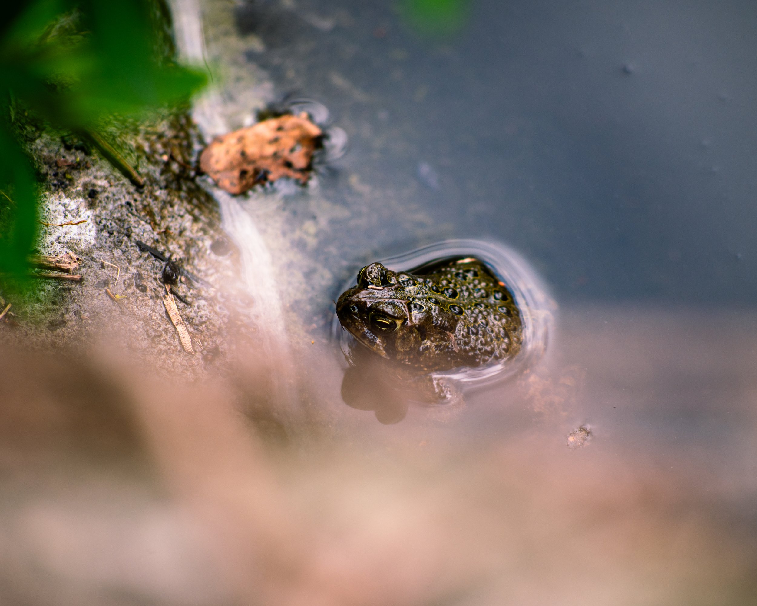 DSC_1751.jpg
