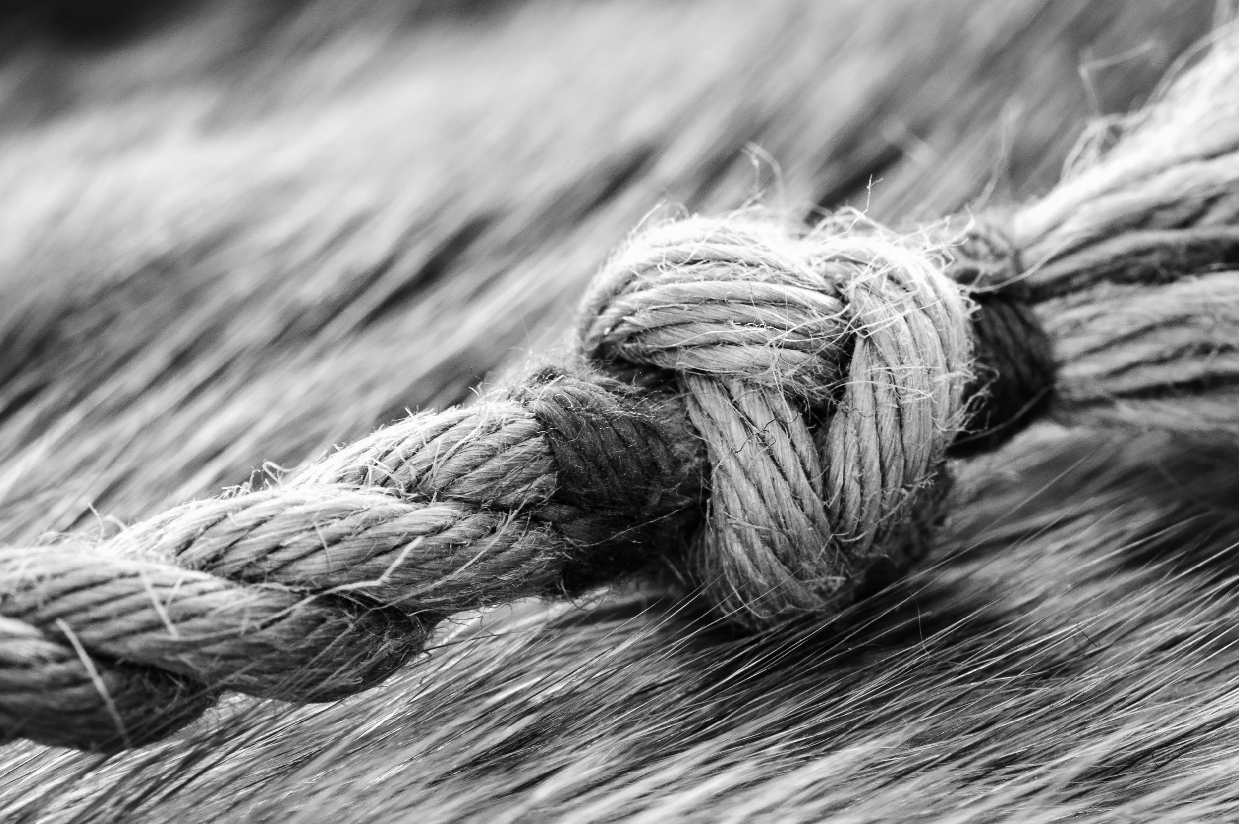 Knot in Rope