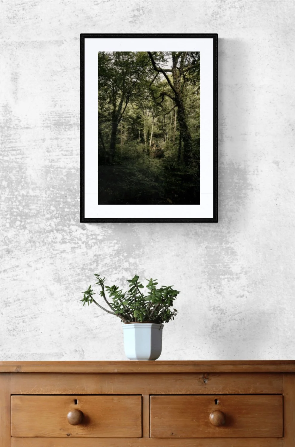 29.PRINTS_WALL_Dans_la_Forêt.jpg