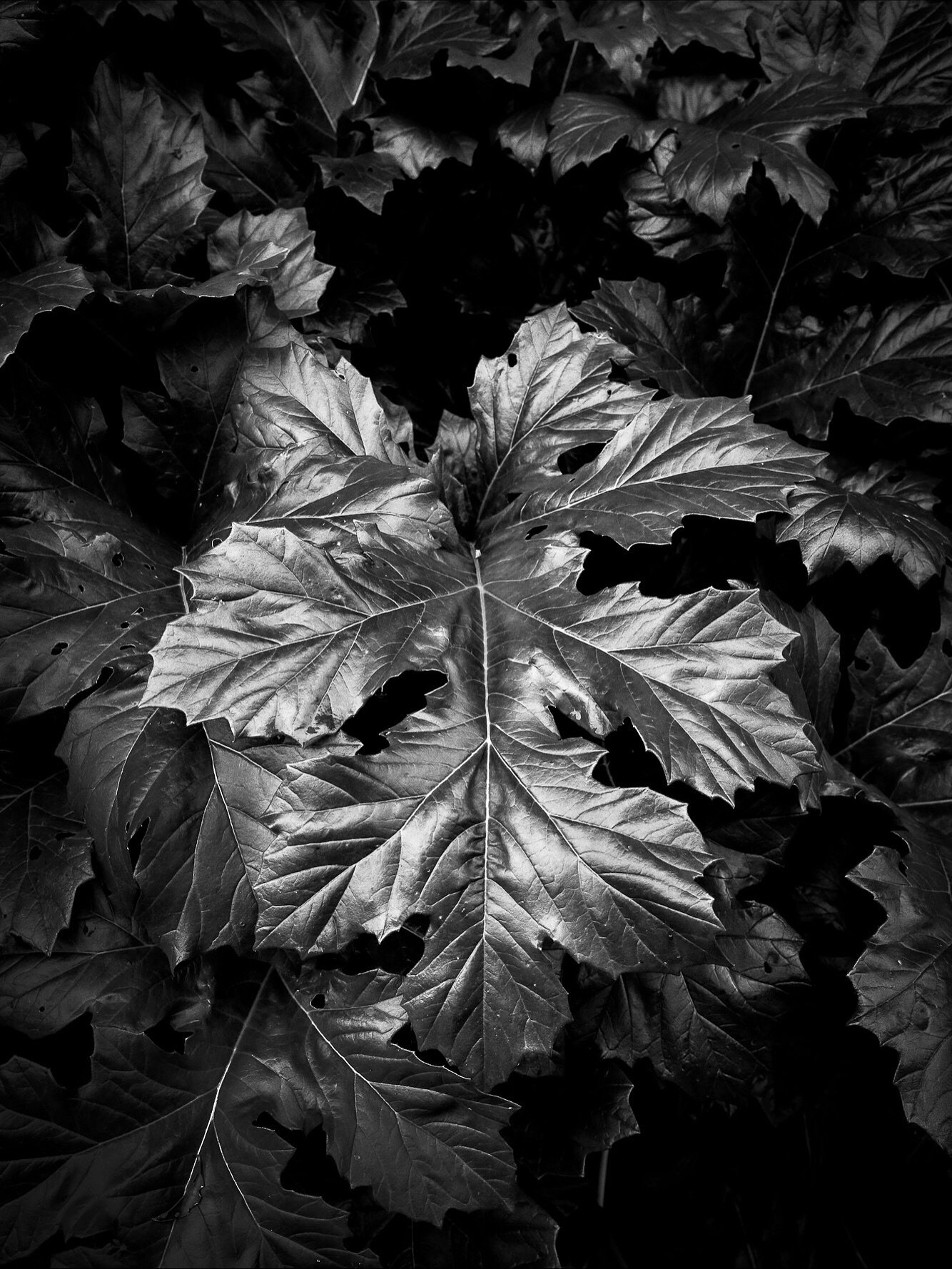 &bull;
textures | from Summer to Fall