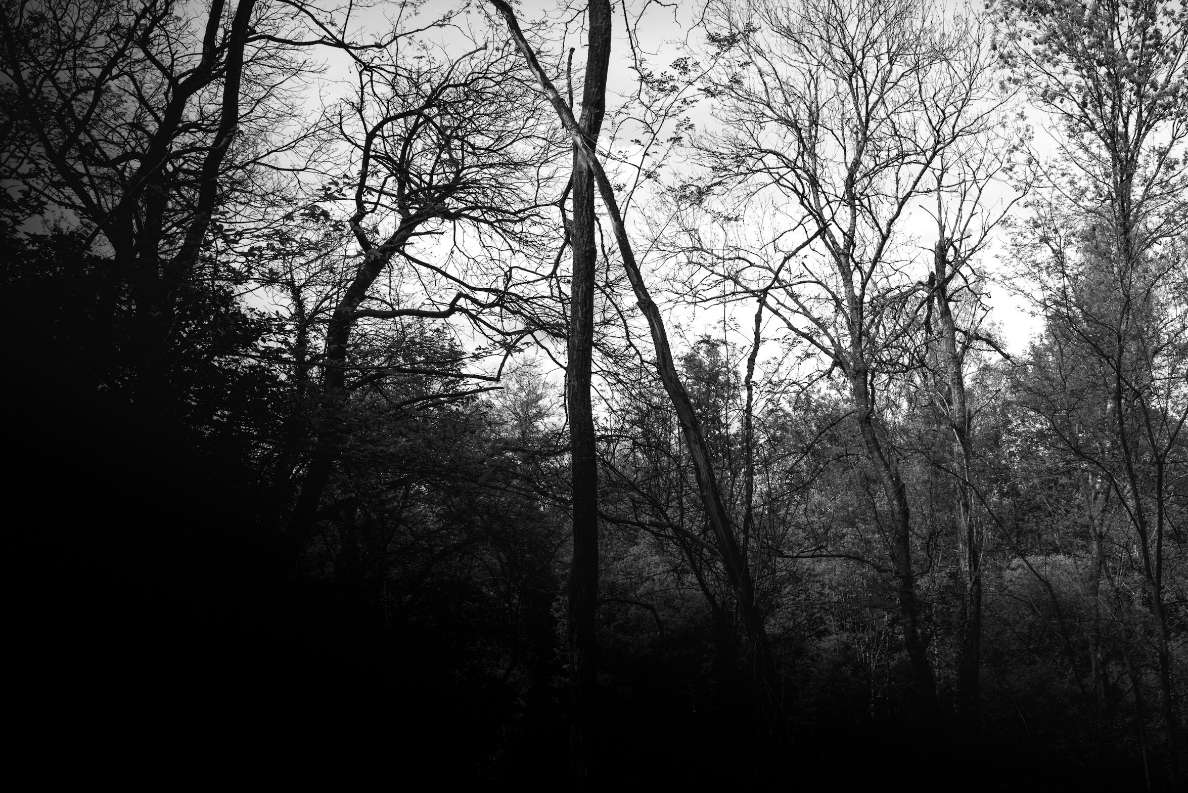 Double exposure original-7400986.jpg
