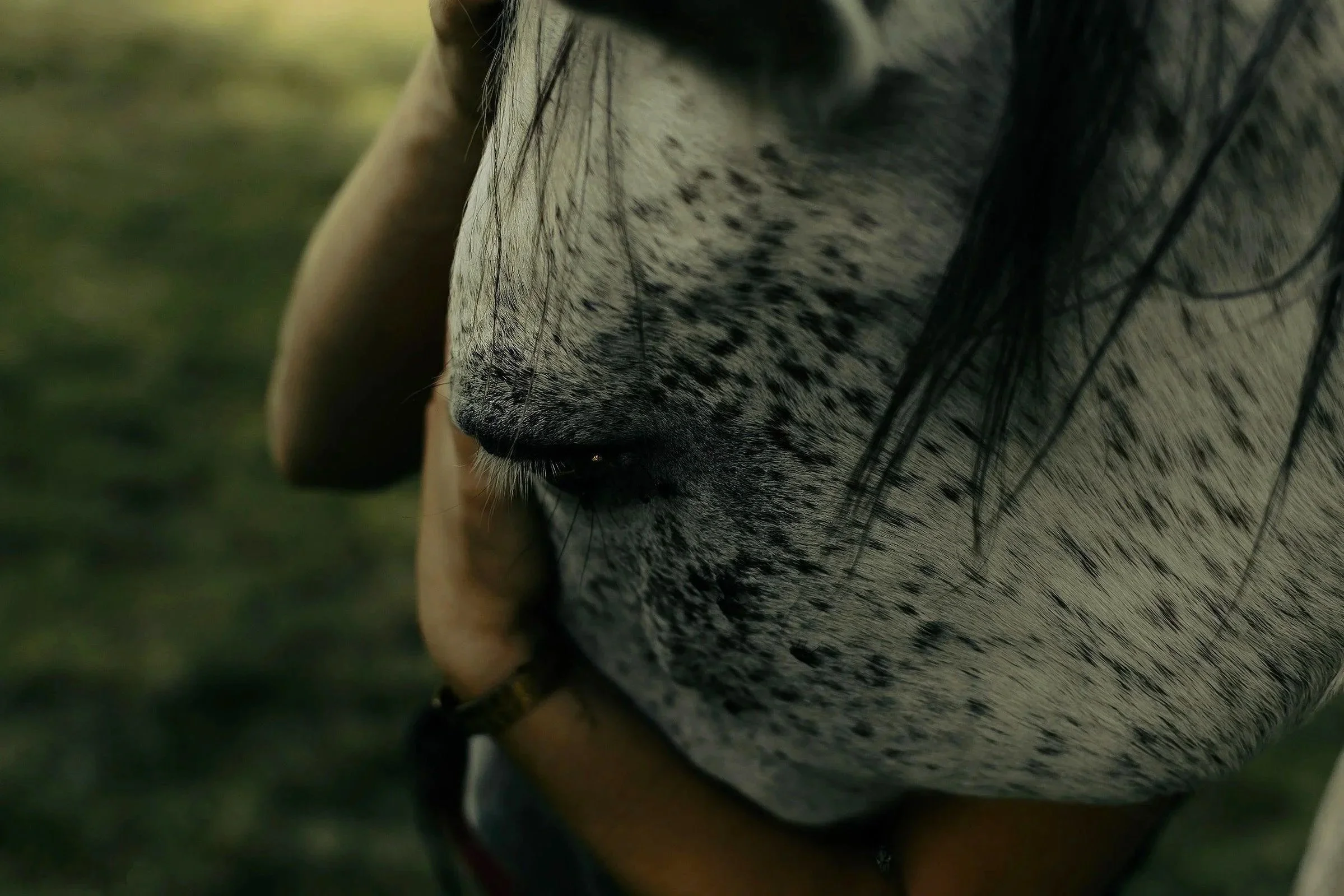 Moment d'affection entre une femme et son cheval Florian Coelo Photographe art et reportage Angers Nantes Bretagne