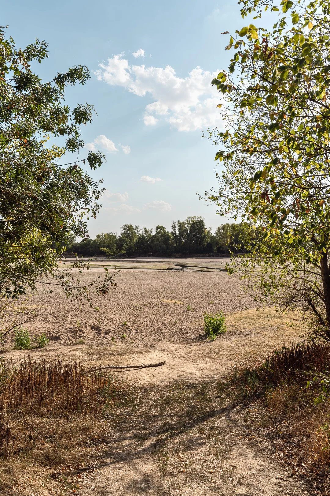 Sécheresse Loire changement climatique Florian Coelo photographe Angers Nantes Bretagne