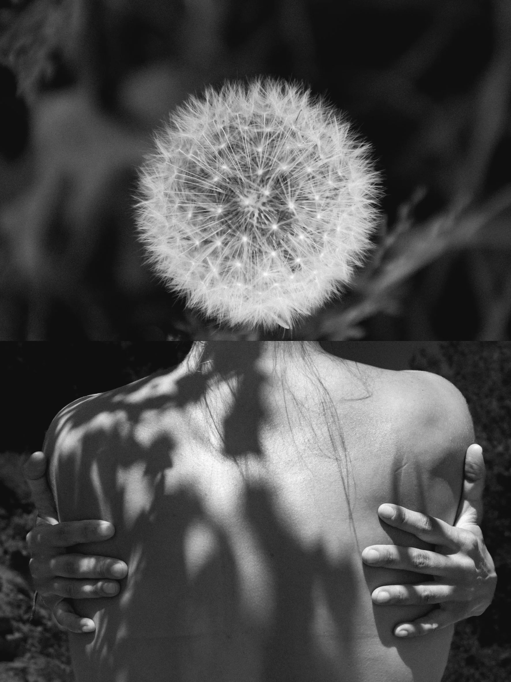 7.Diptych Flowering 150pp 30x40cm.jpg