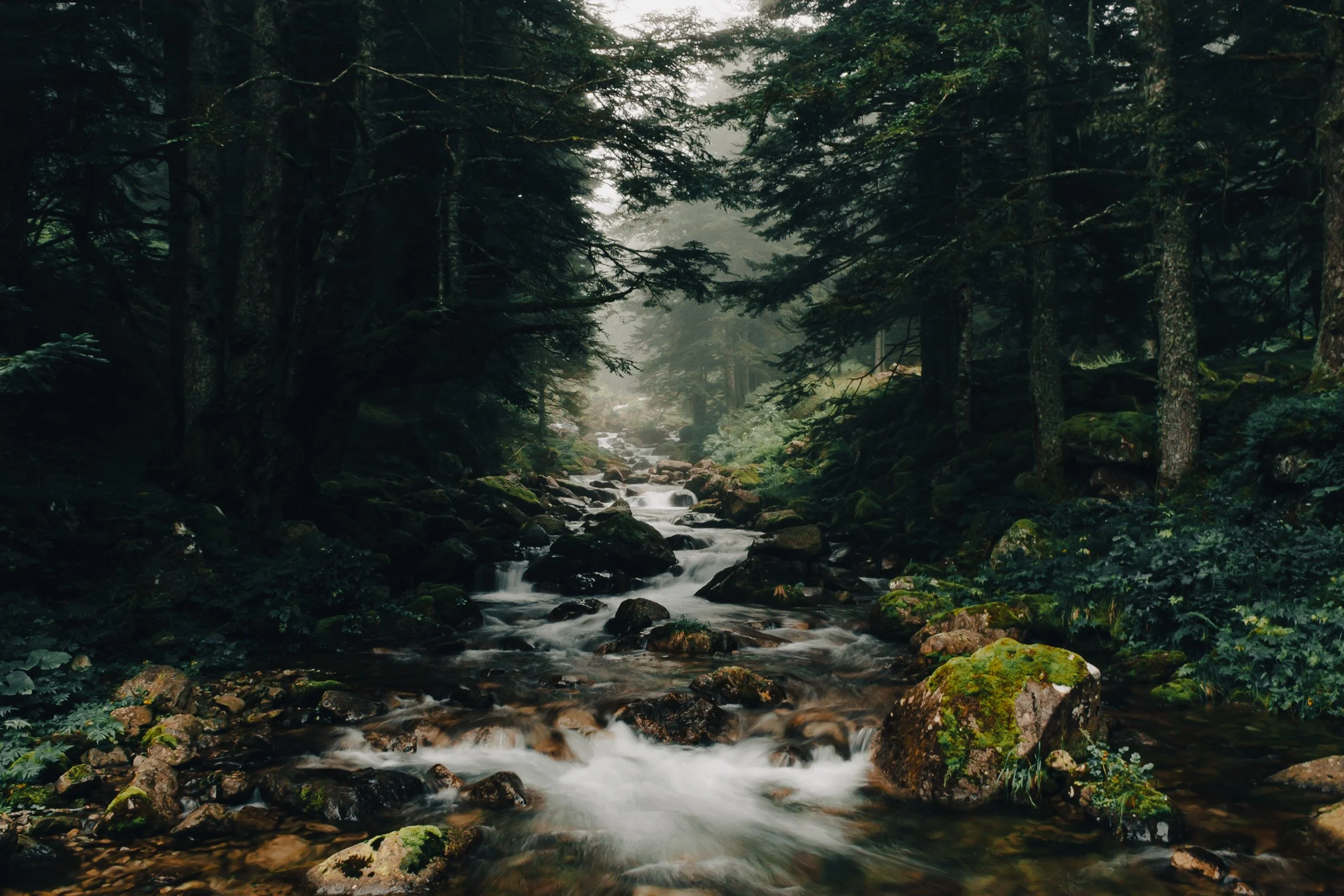 Saison_printemps-0006.jpg