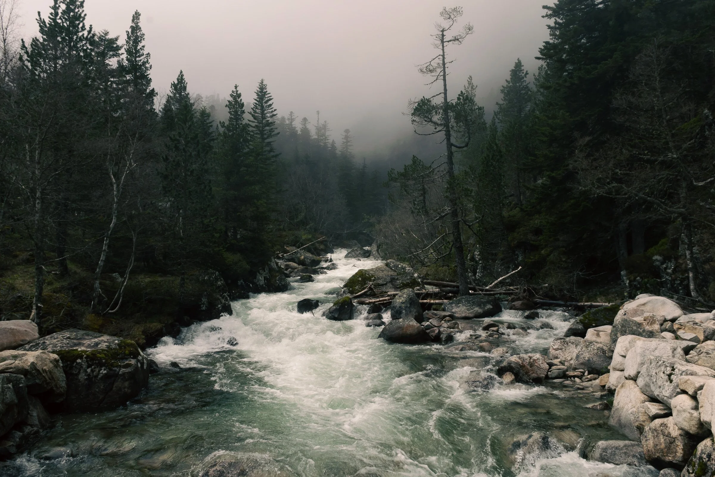 Saison_hiver-0203.jpg