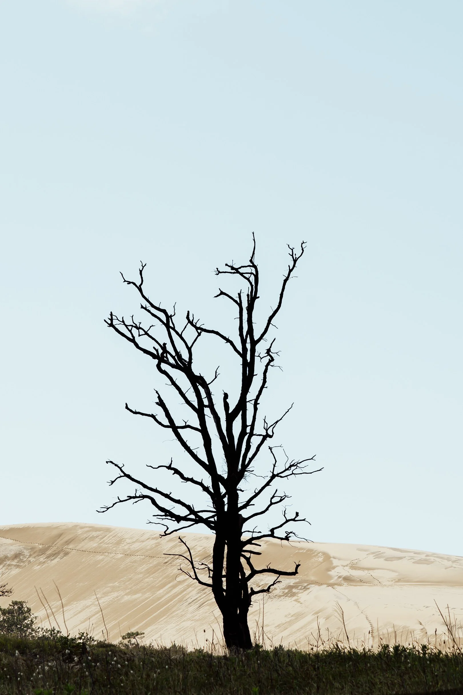 Incendie Landes dune du pyla changement climatique Florian Coelo photographe Angers Nantes Bretagne