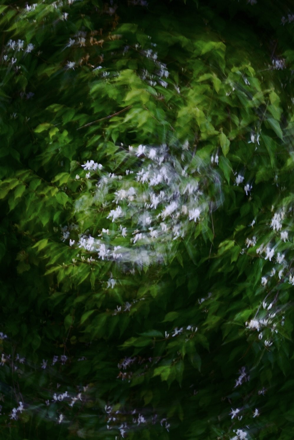 DSC05130.jpeg