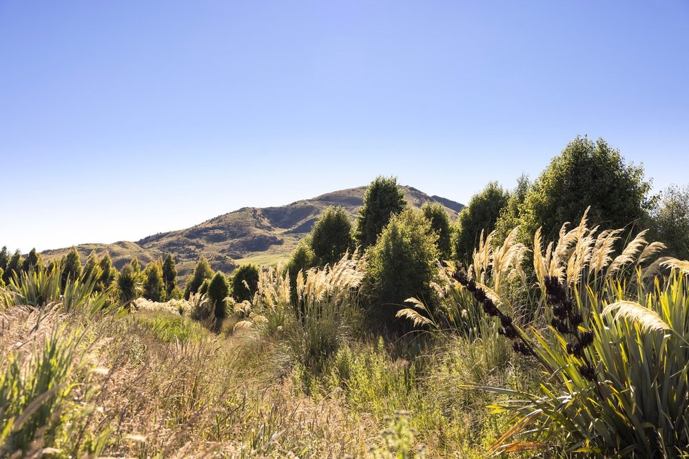 Best Indoor Pools In Chicago Apartment Buildings | Domu