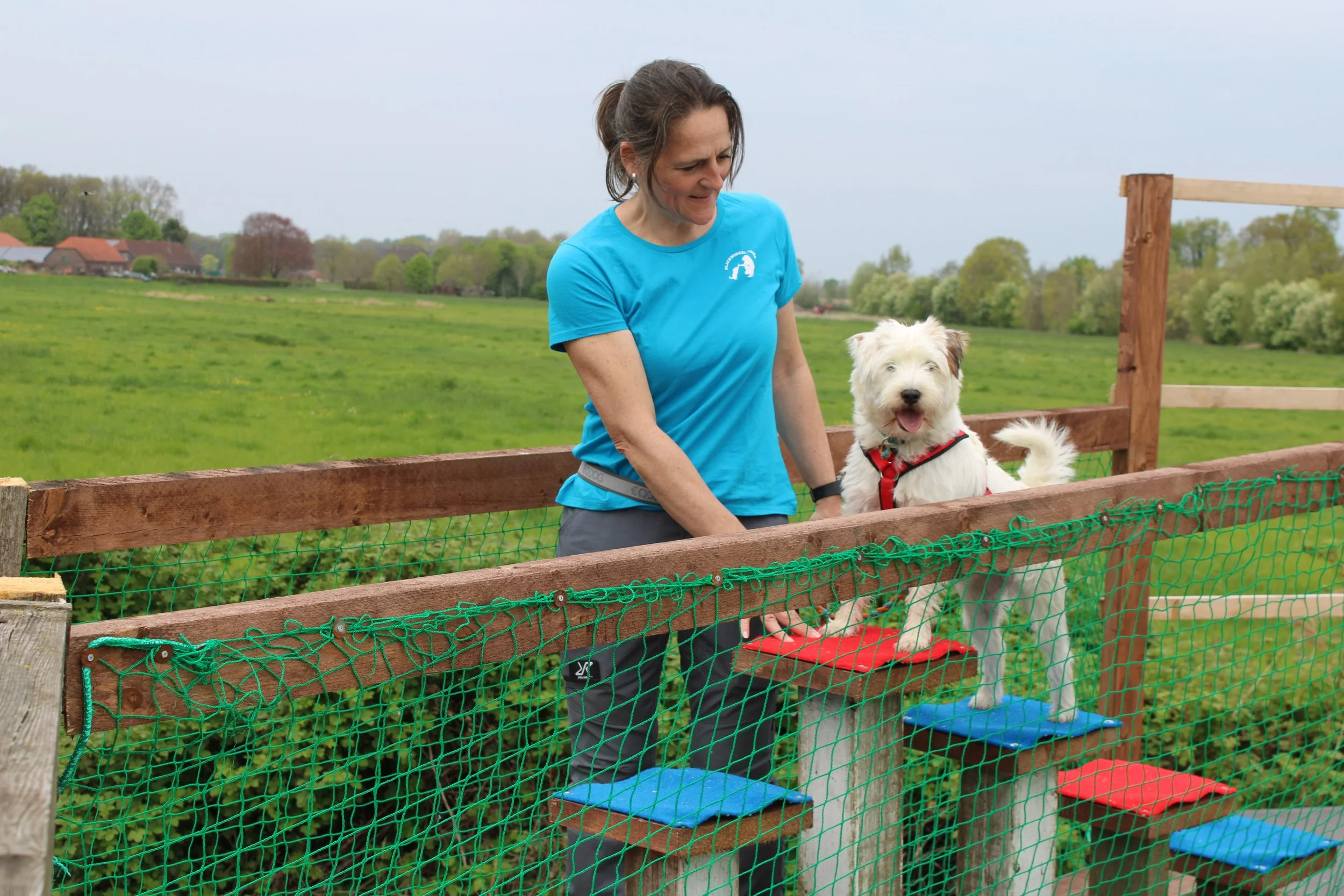 Hunde extrem Parcours “HeP” in Kevelaer (eigene Anfahrt)